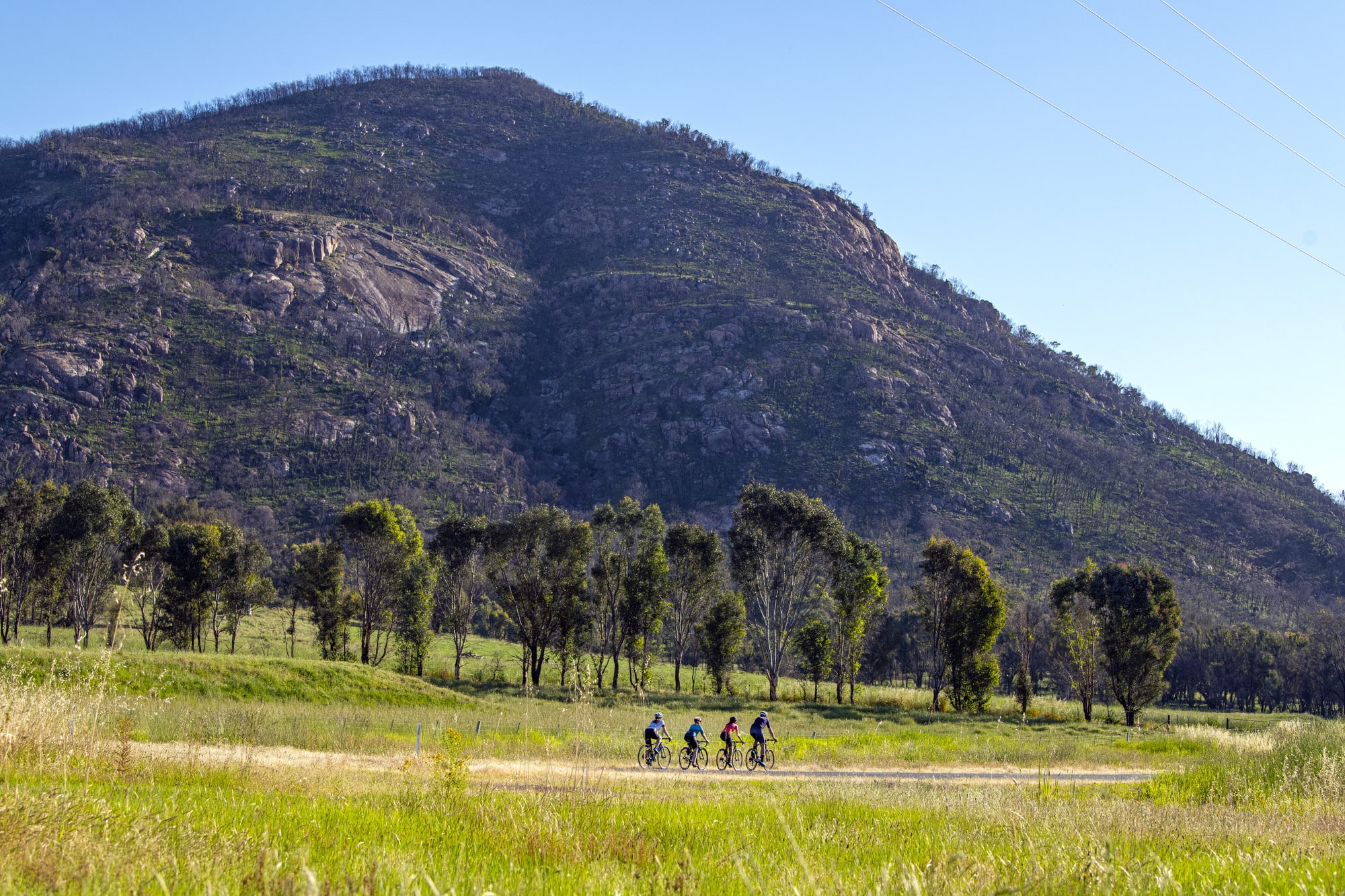 Group of road cyclists riding on Cudgewa Valley Road on the Border loop road route