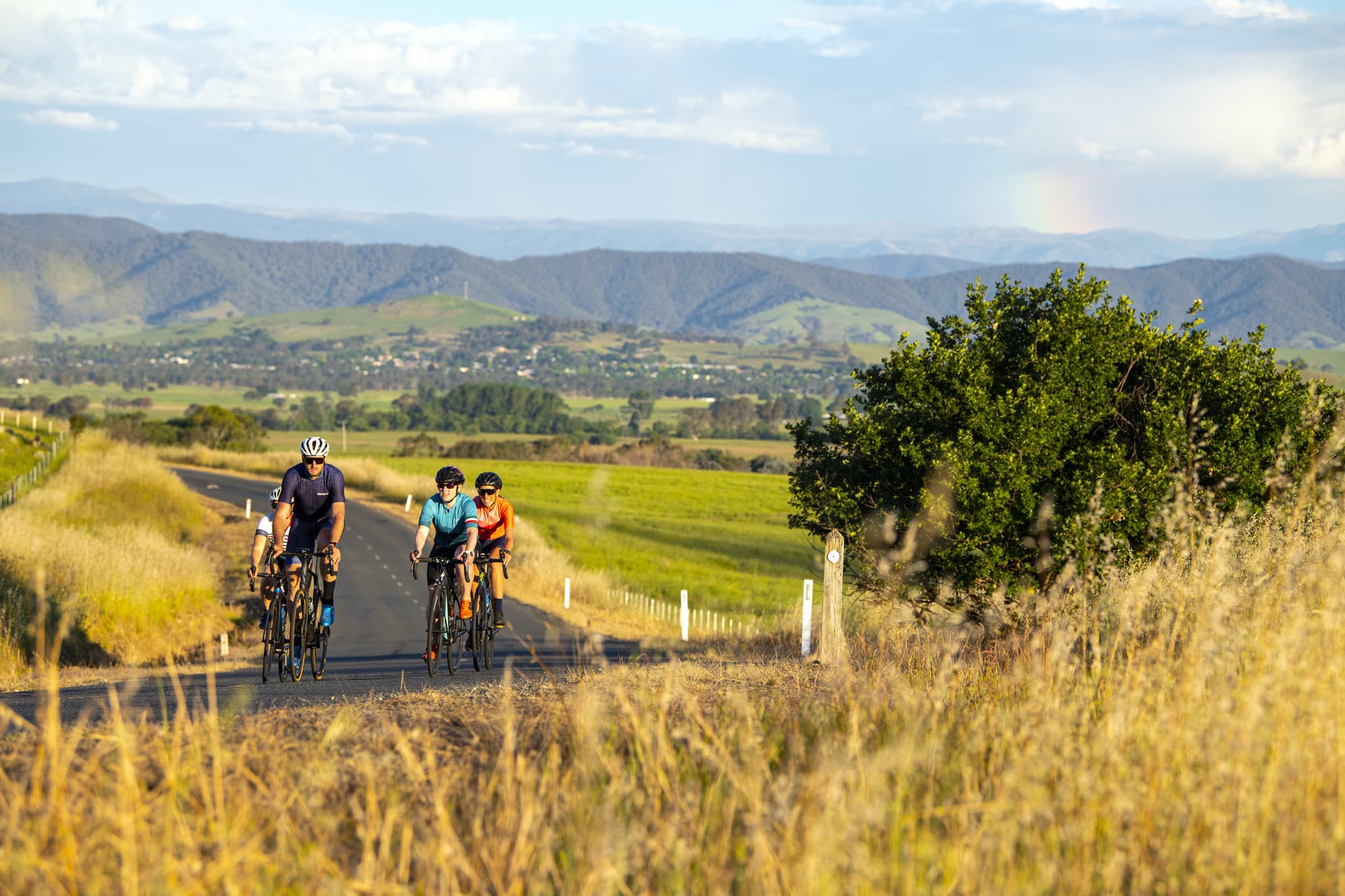 Group of cyclists riding smooth roads past farmland on the Border Loop