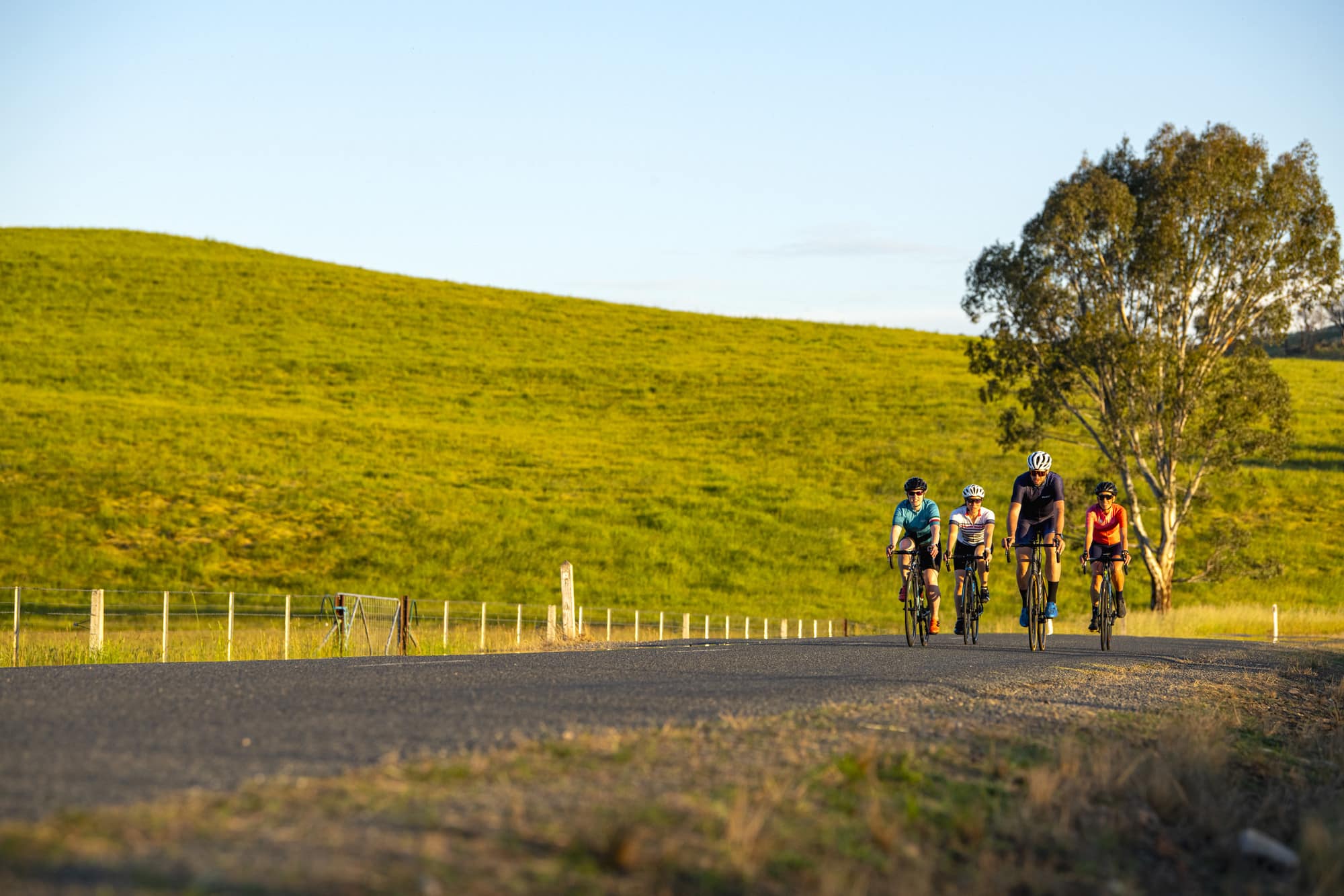 Cyclists riding down Cudgewa Valley Rd past rolling hills