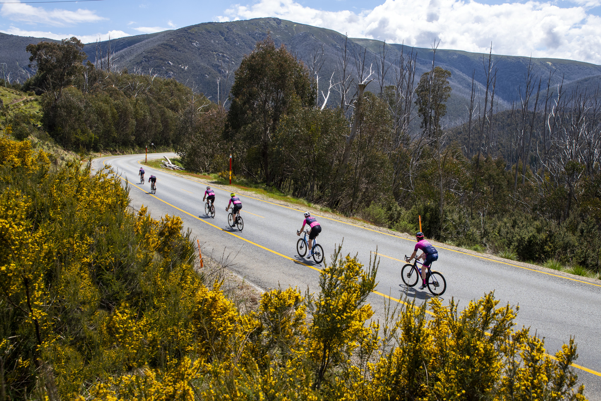 Alpine Classic - Victoria's High Country