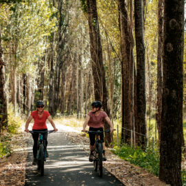 Two cyclists riding through trees on the Great Valley Trail that stretches between Bright and Harrietville