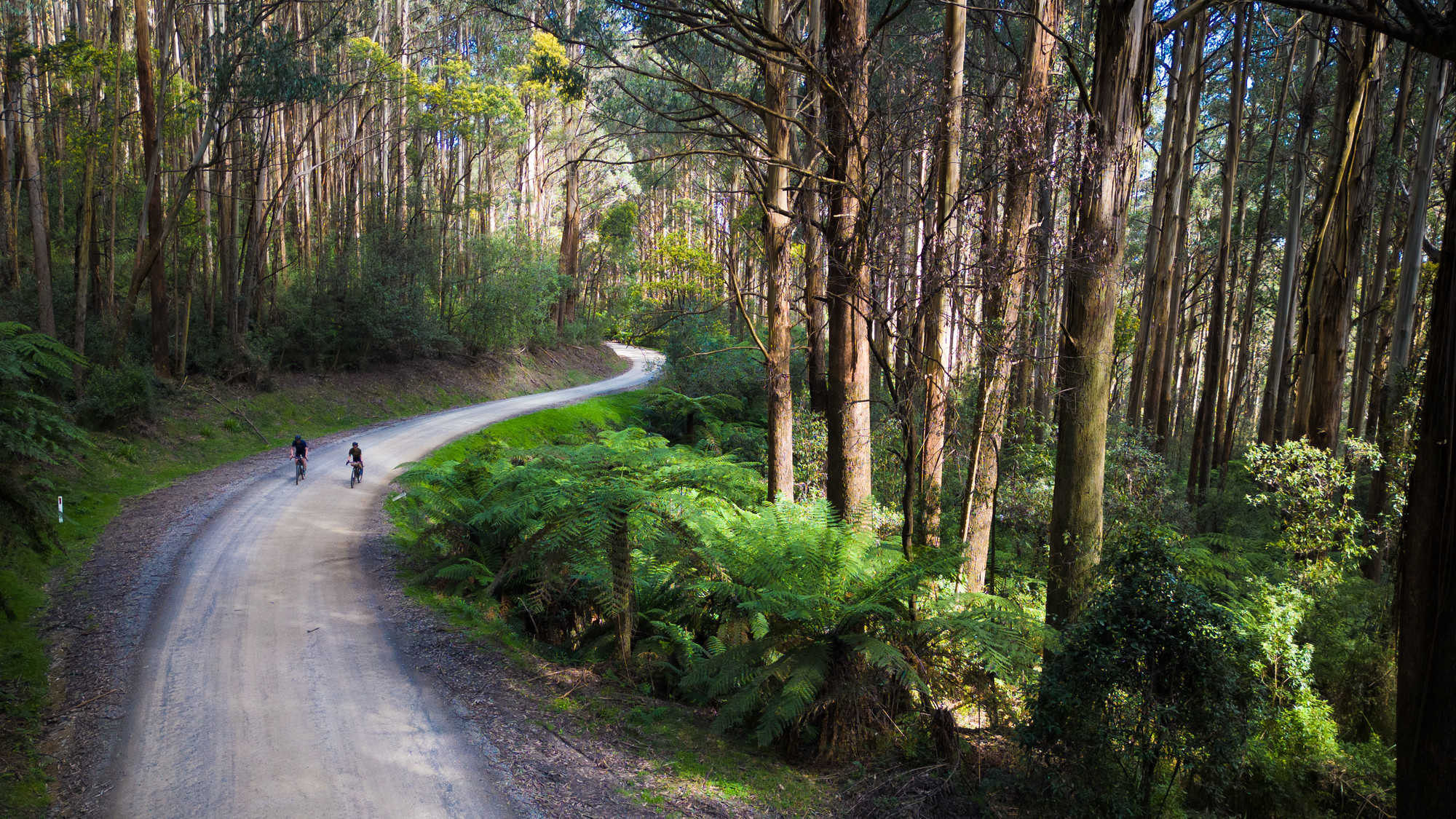 Kinglake Ranges Gravel Rides - Kinglake - Captains Ride