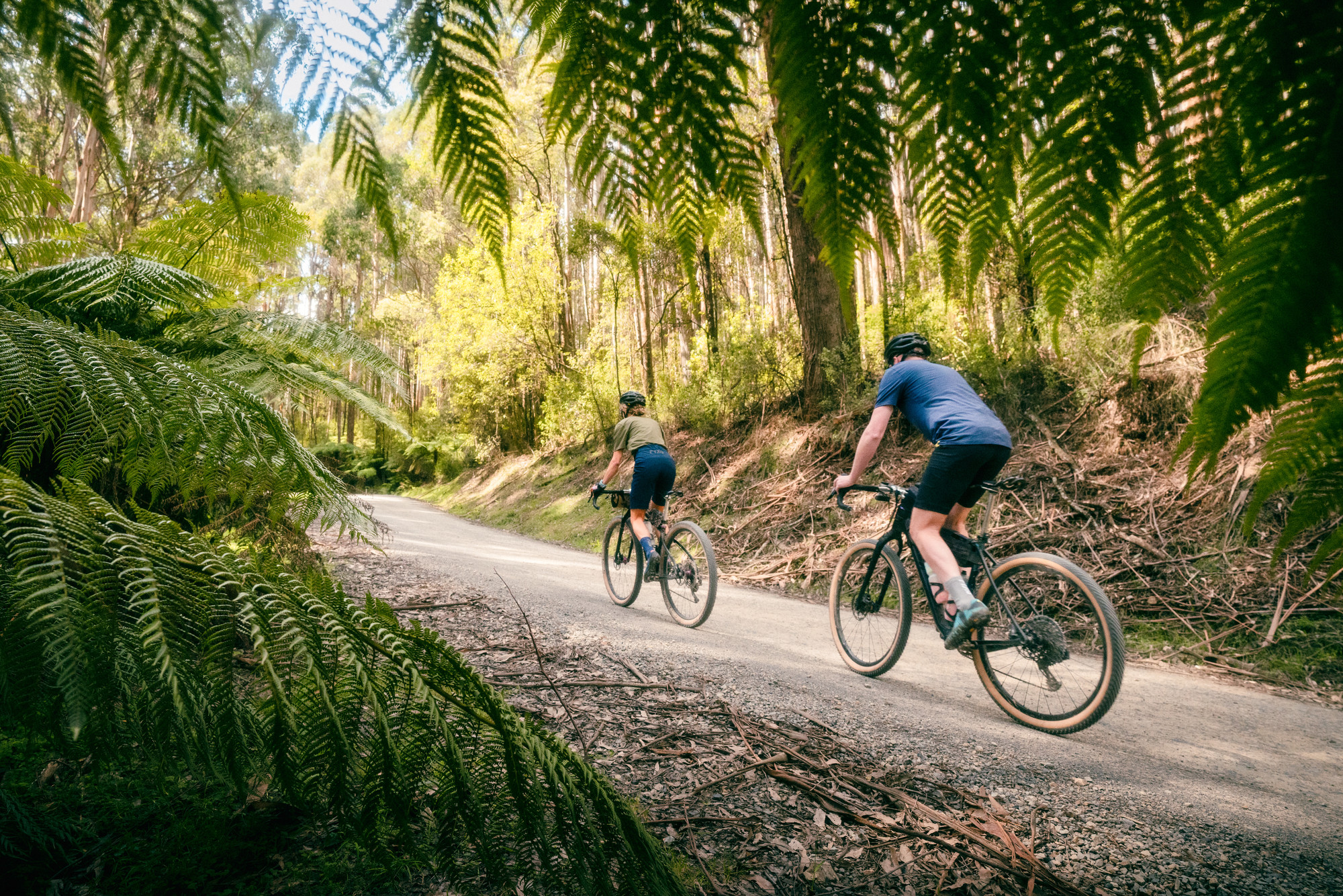 Kinglake Ranges Gravel Rides - Kinglake - Captains Ride