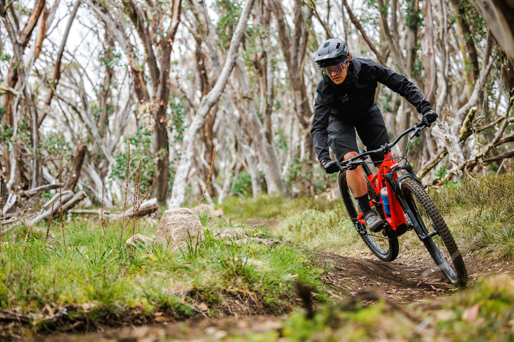 Cyclist riding through alpine snow gums on the Australian Alpine Epic trail at Mt Buller