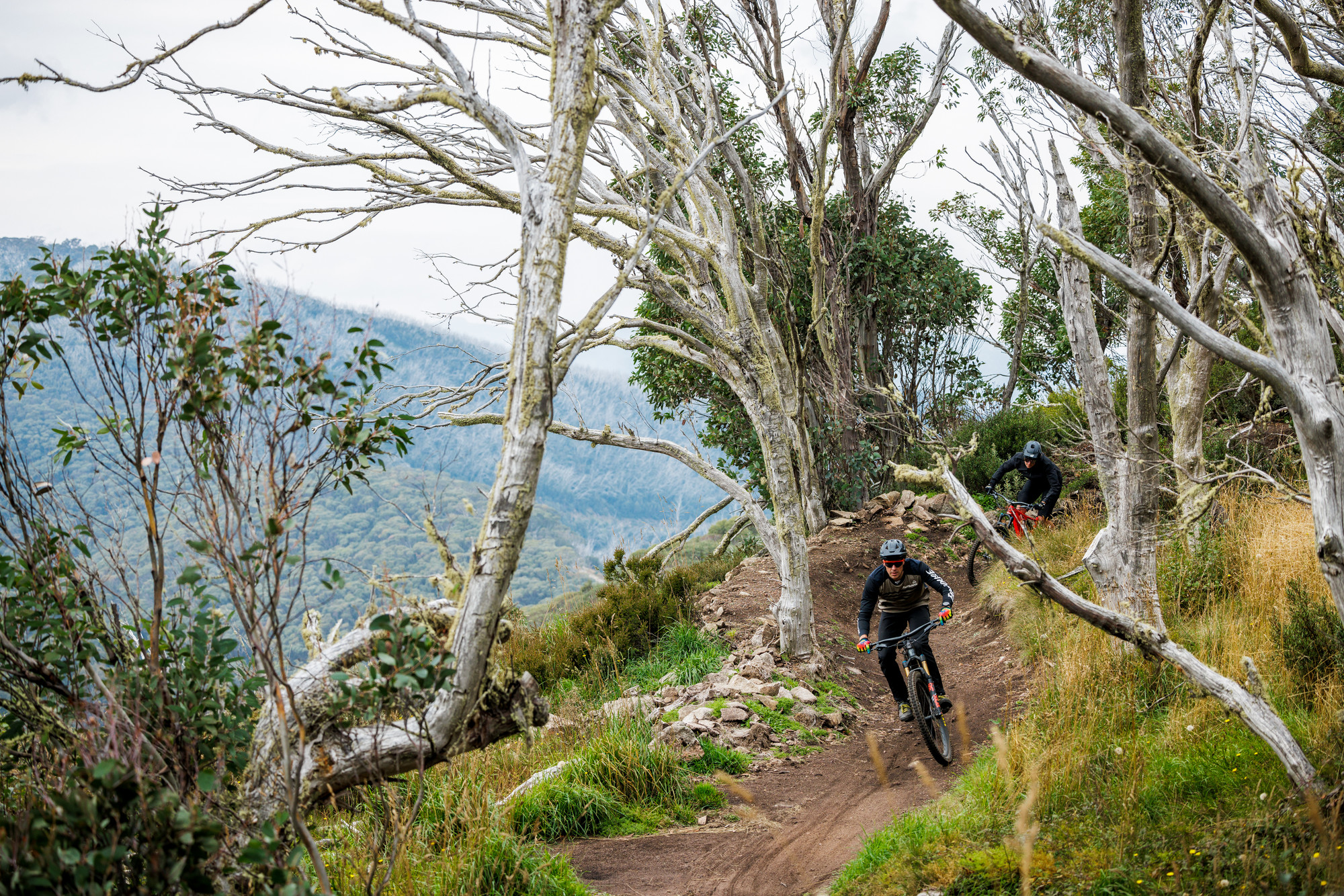 Two cyclists riding berms on the Australian Alpine Epic trail at Mt Buller