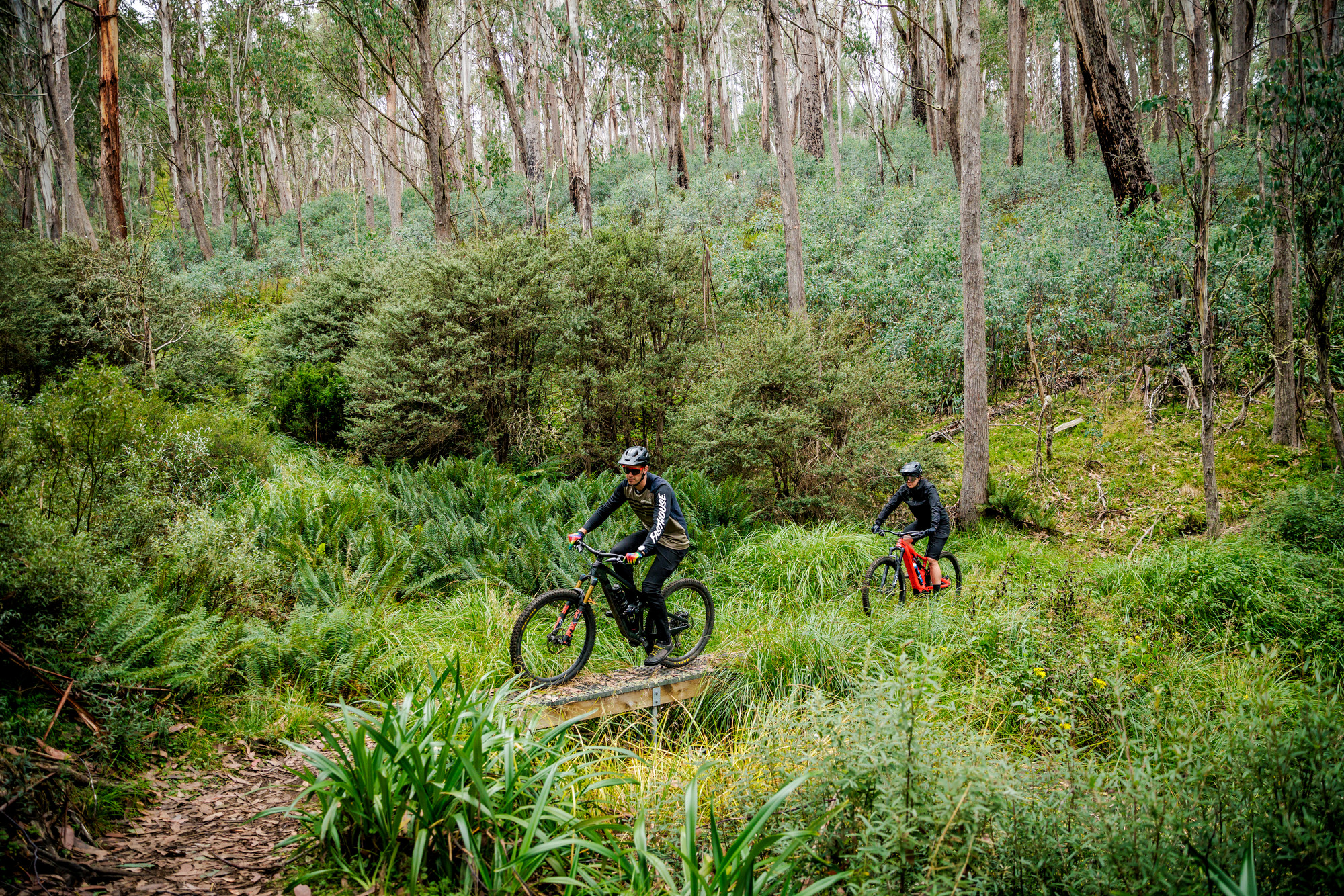 Two cyclists rolling through lush ferns and over bridges on the Australian Alpine Epic trail at Mt Buller