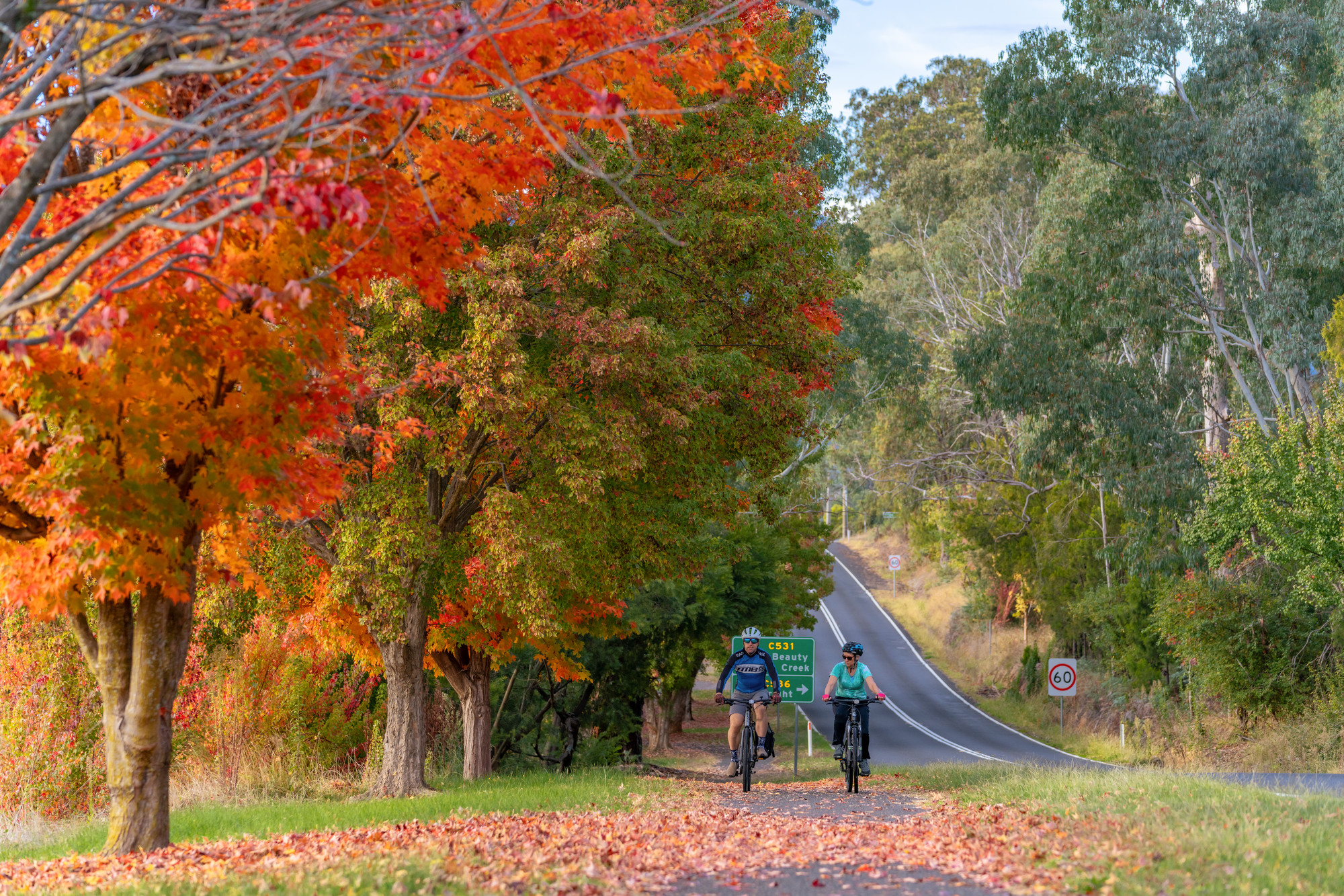 Mount Beauty Bike Path