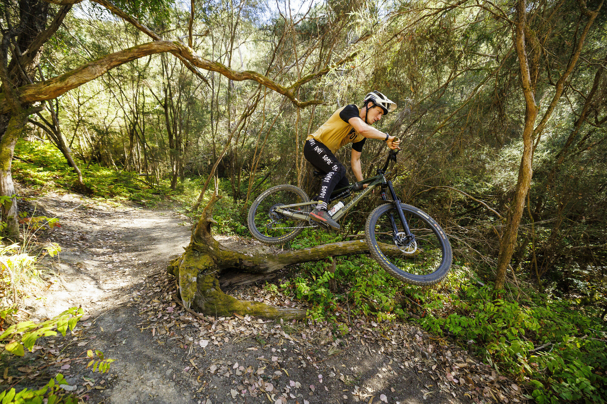 Cyclist jumping natural features at Eildon Mountain Bike Park