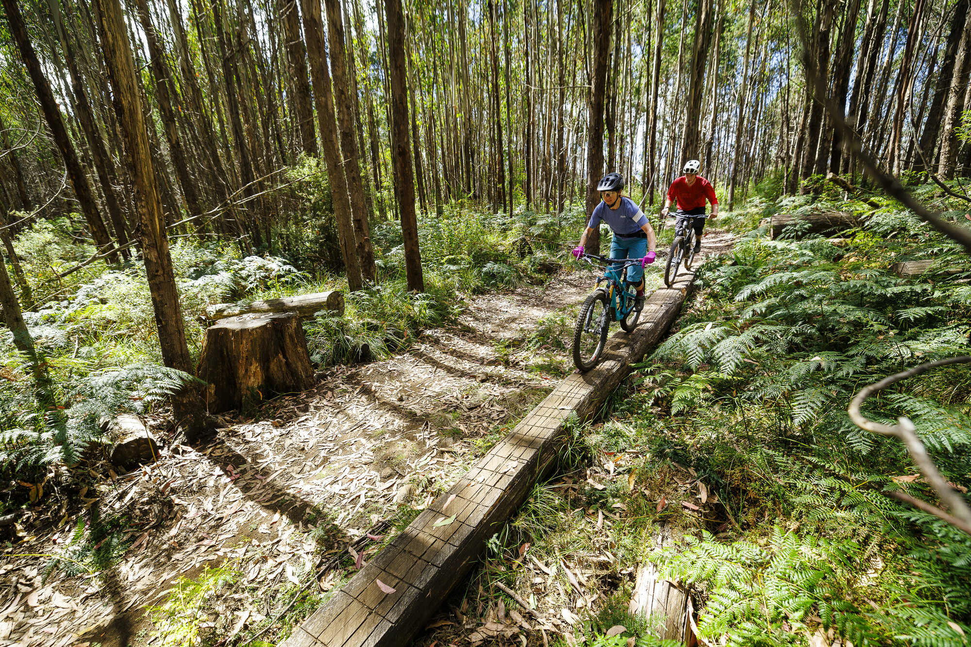 Cyclists riding built trail features through wilderness on the Cascades Trail