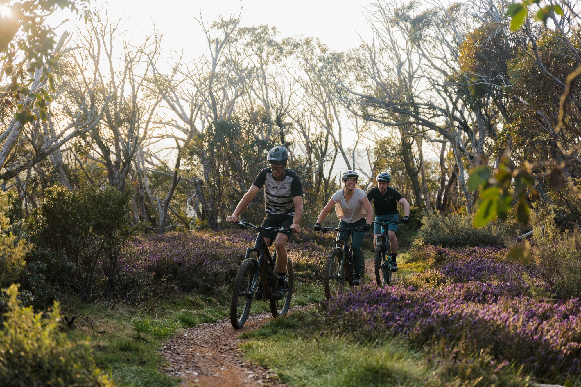 A group of cyclists riding through wildflowers at Mt Buller Bike Park