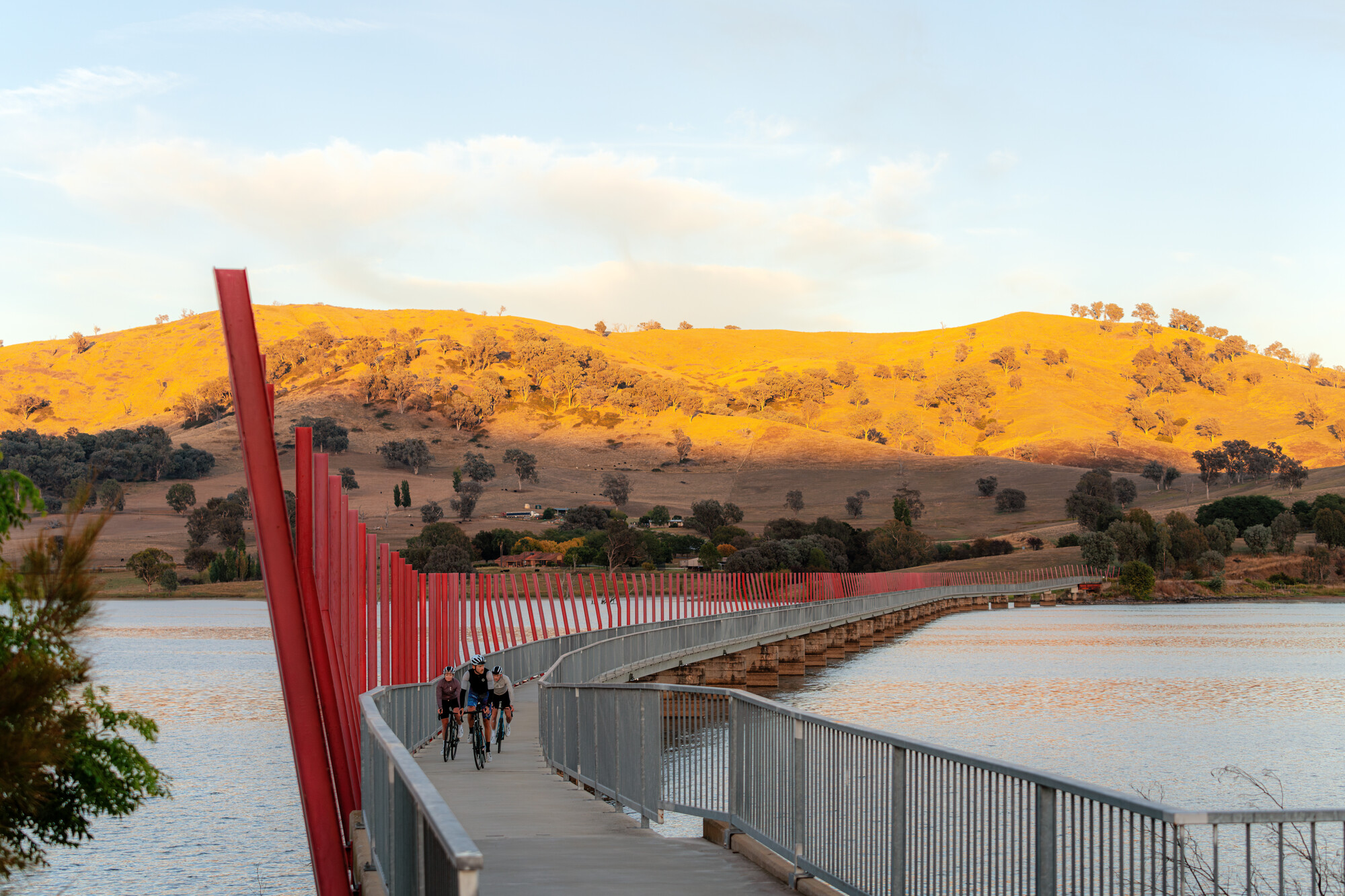 High Country Rail Trail - Tallangatta to Sandy Creek Bridge