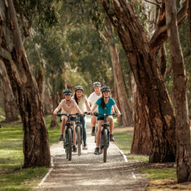 Great Victorian Rail Trail - Mansfield