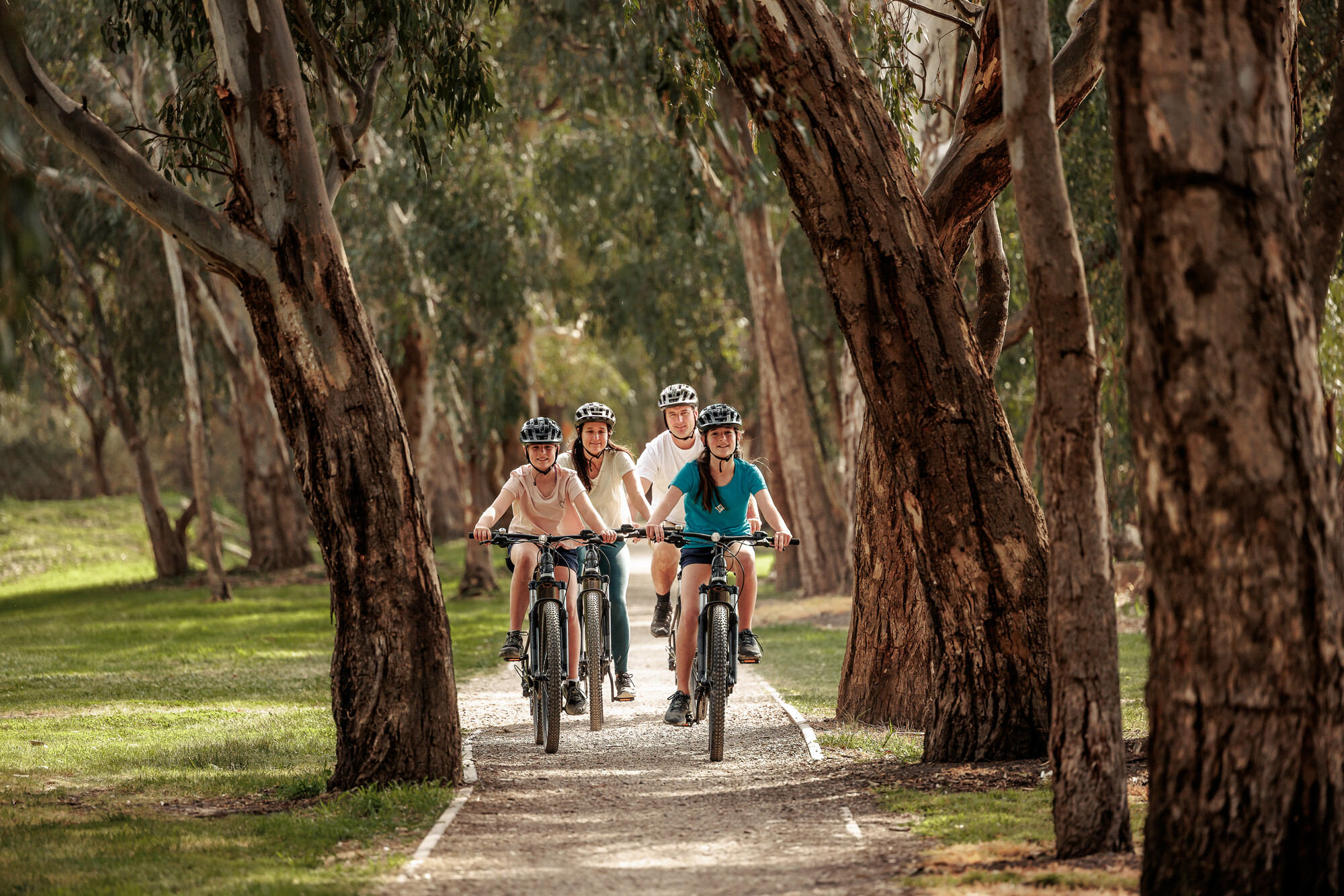 Great Victorian Rail Trail - Mansfield