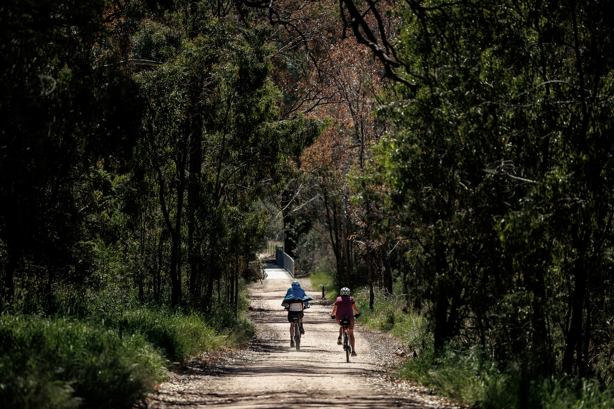 Great Victorian Rail Trail - Tallarook to Trawool