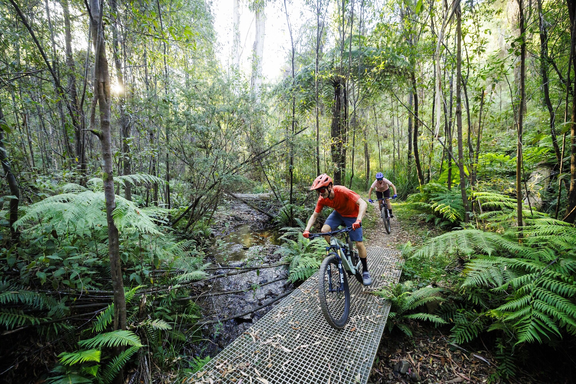 Cyclists riding over built features and bridges at Buxton Mountain Bike Park