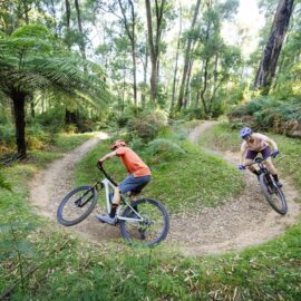 Two cyclists riding flowing corners at Buxton Mountain Bike Park