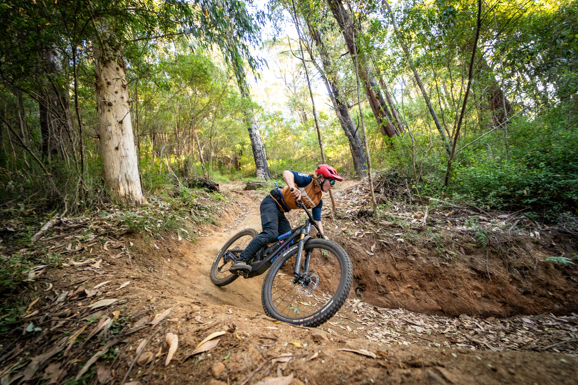 Cyclist riding Cascades Trail berms