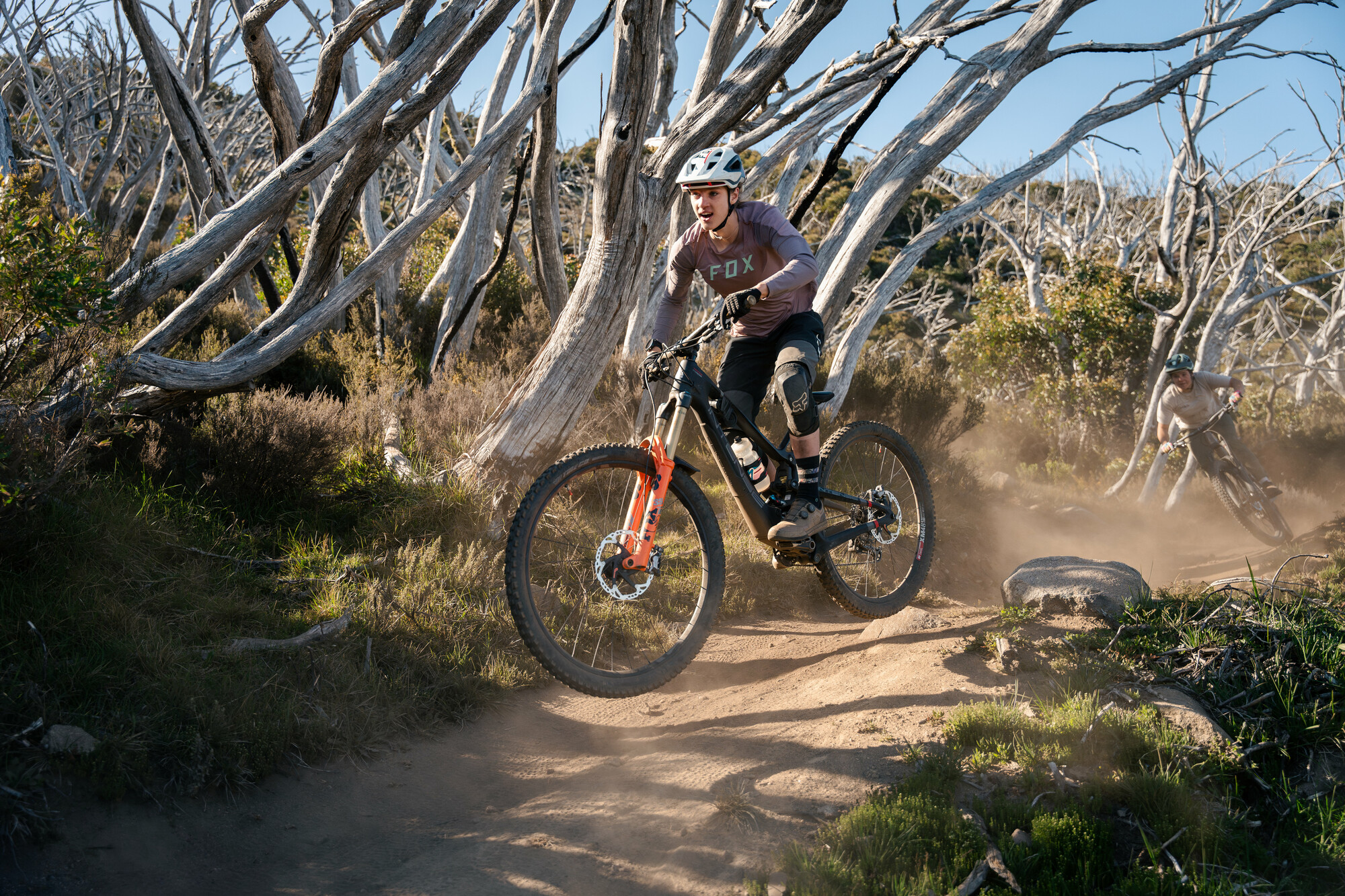 Cyclists riding through alpine snow gums at Falls Creek Mountain Bike Park