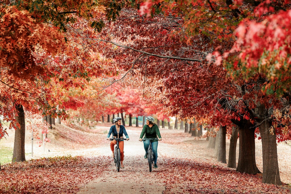 Two female cyclists riding side by side along a trail surrounded by beautiful red autumn trees 