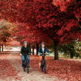 Murray to Mountains Rail Trail - Beechworth