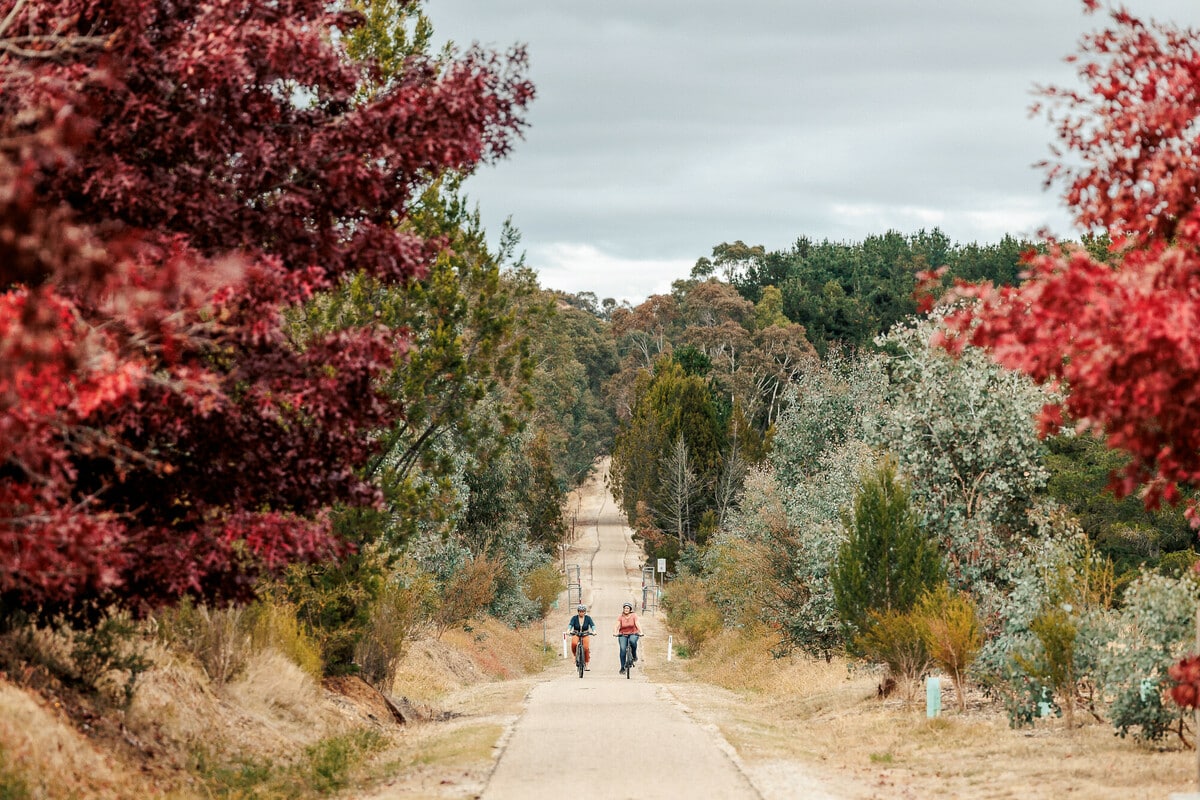 Two female cyclists riding along a long trail surrounded by native Australian trees and stunning autumn colour