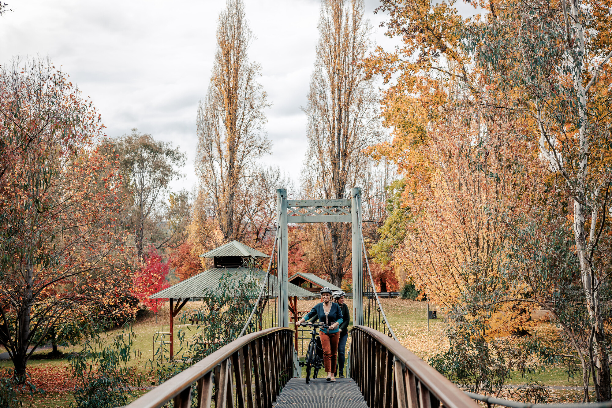 Murray to Mountains - Myrtleford