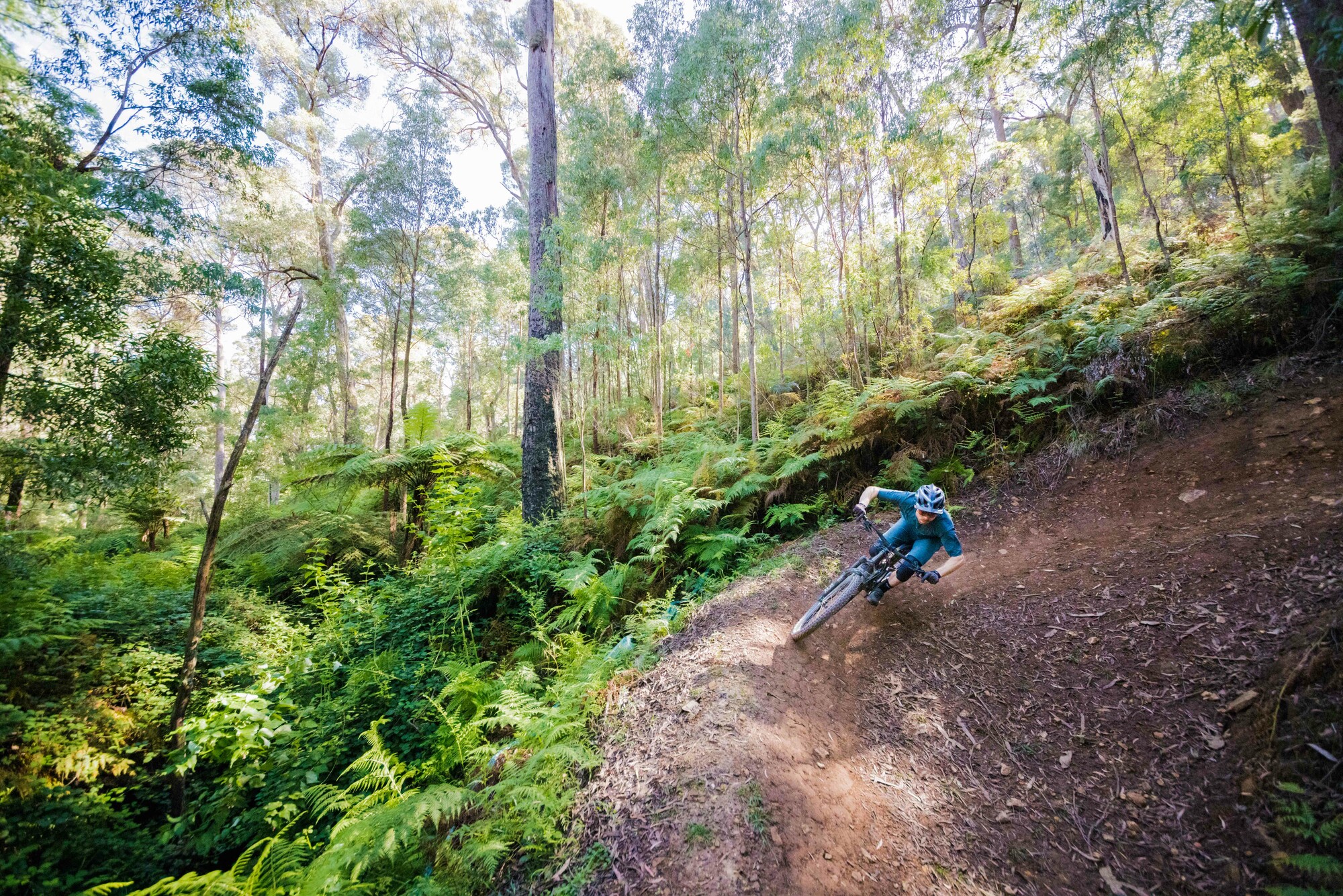 Cyclist riding Indigo Epic Trail's flowing berms