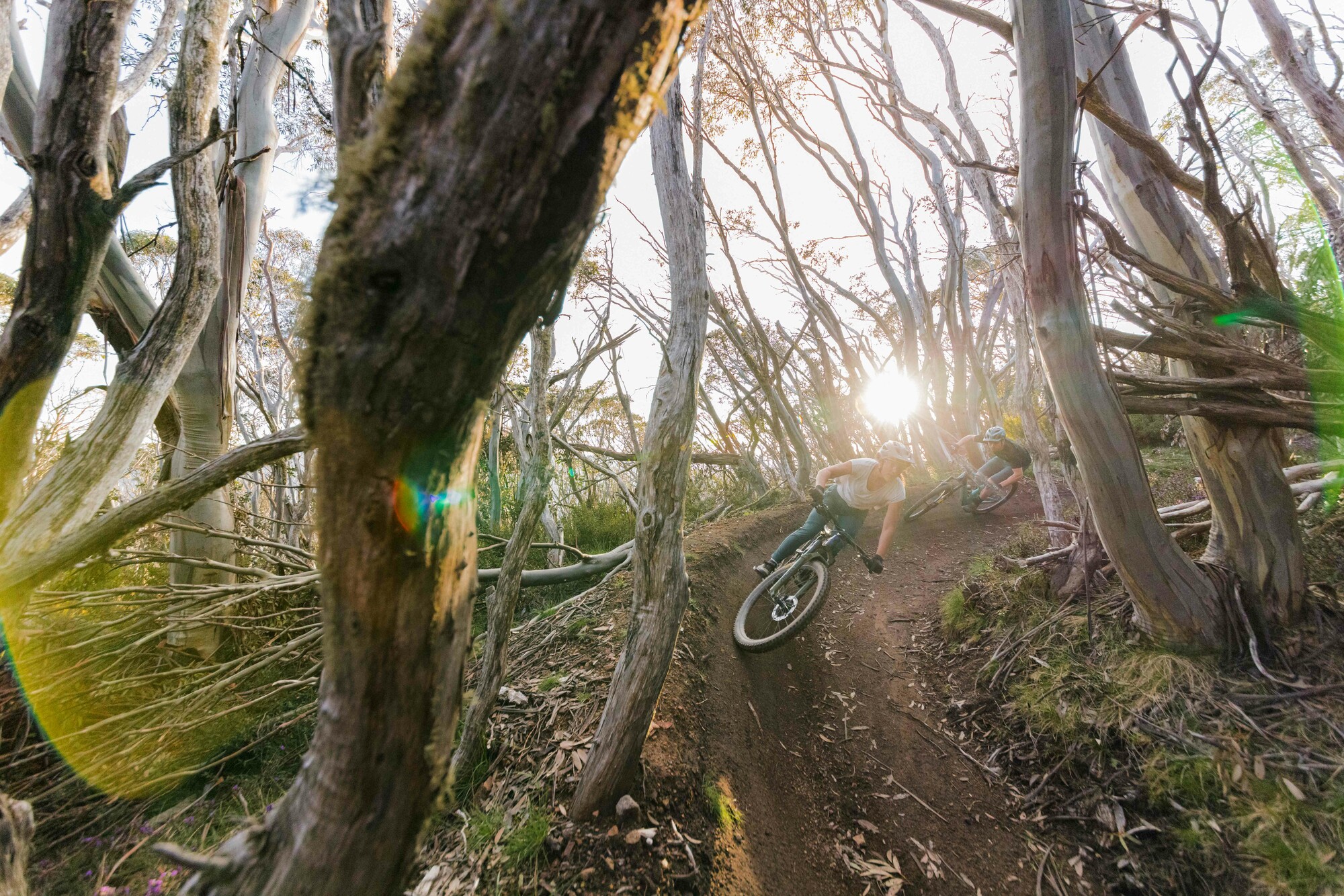 Cyclists riding berms at Mt Buller Bike Park