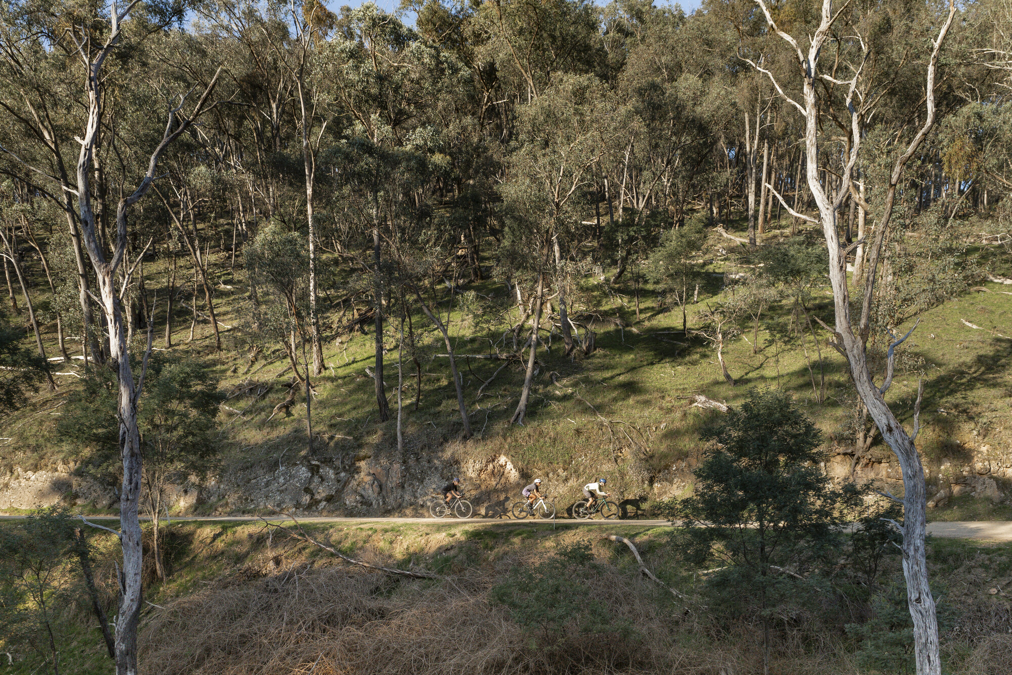 Alexandra Gravel Routes - Alexandra - Sky High Loop