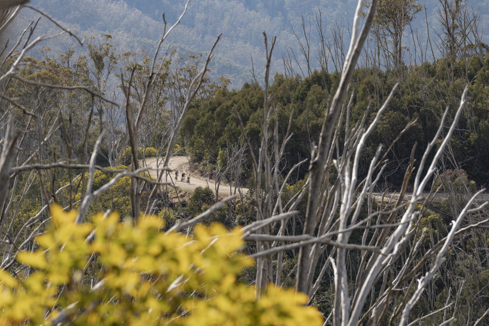 Falls Creek Gravel Routes - Forest, Mountains and Lake