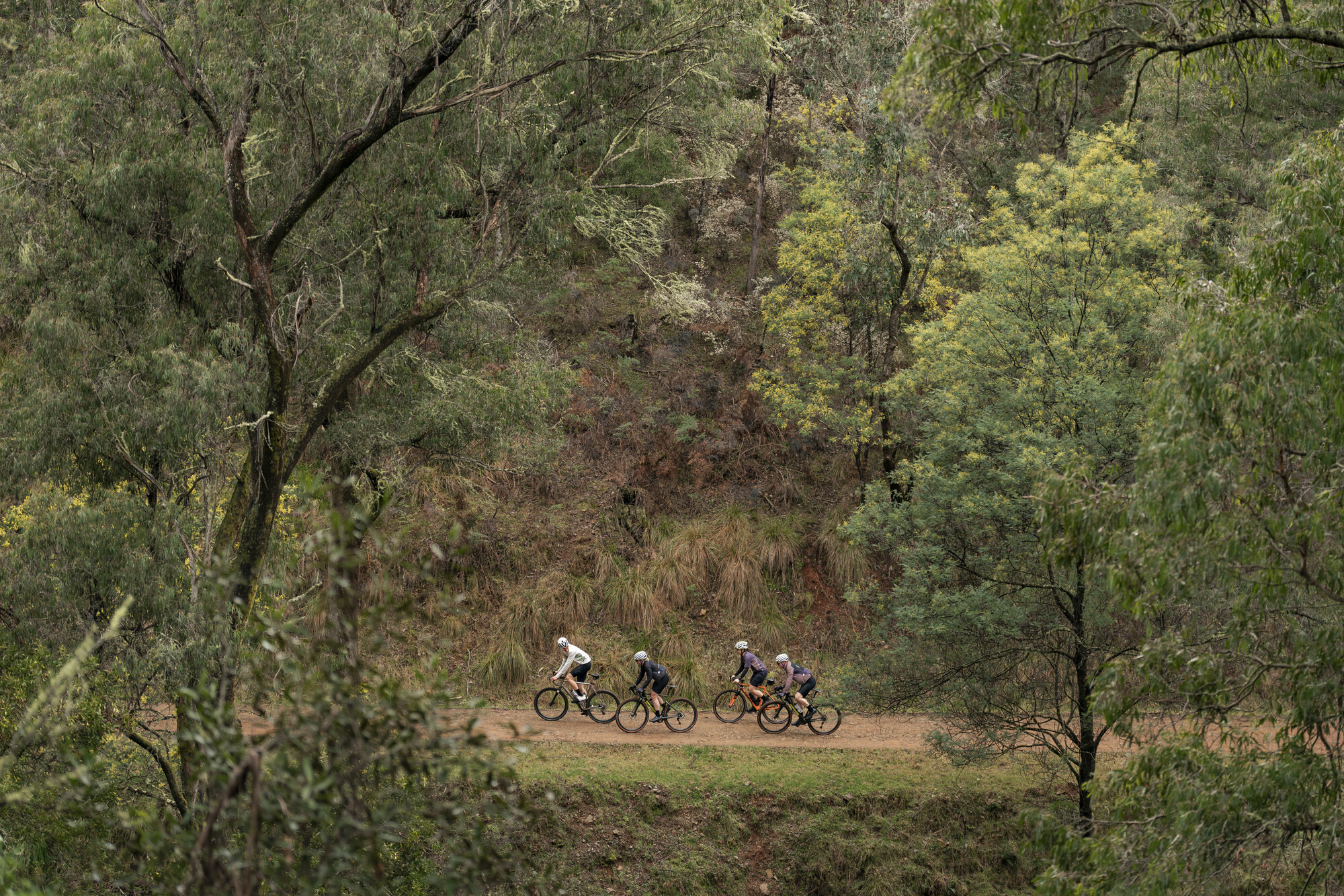 Bright Gravel Routes - Mt Porepunkah Loop