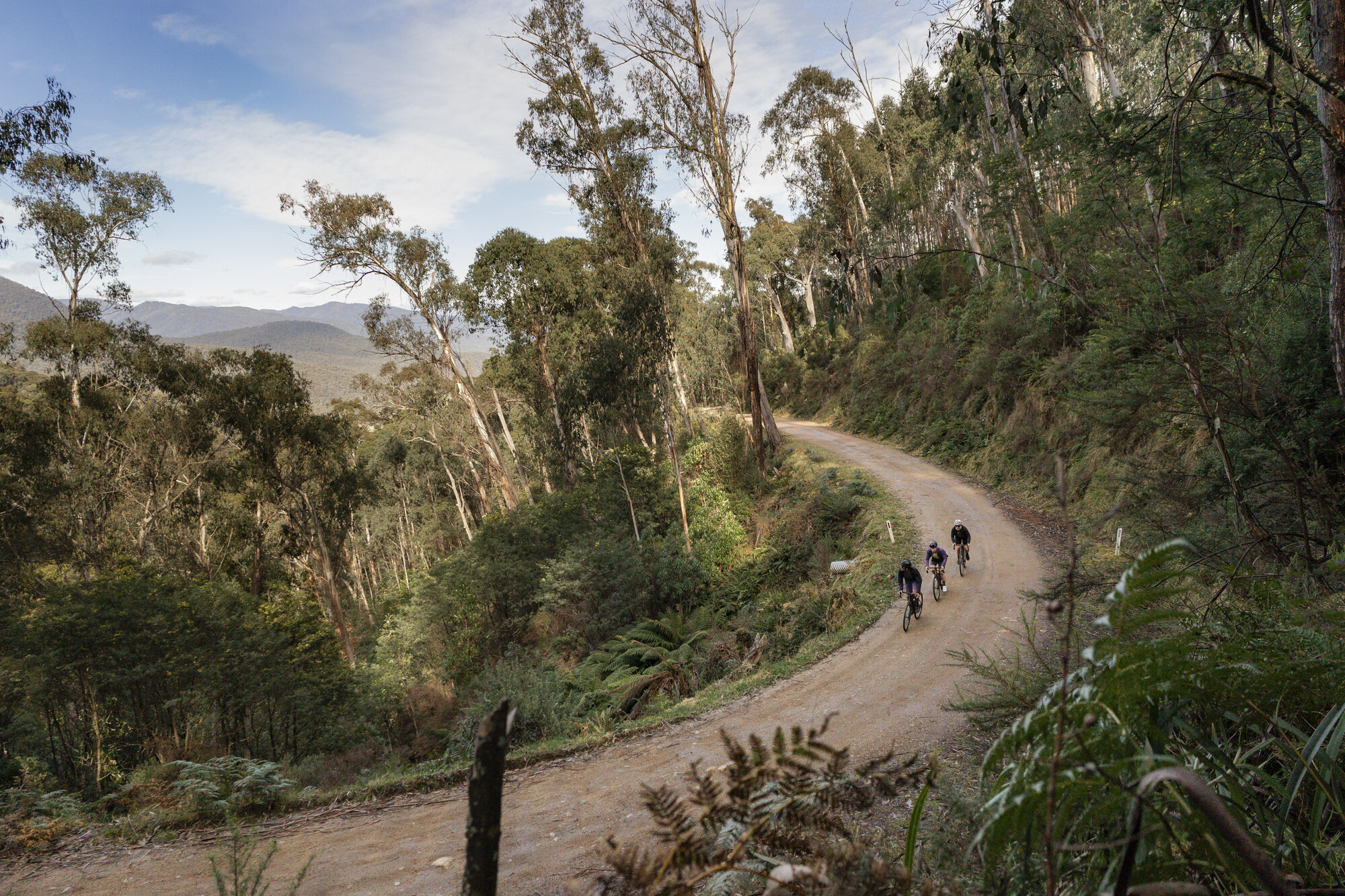 Mount Beauty and Mitta Mitta Gravel Routes - Trappers Gap