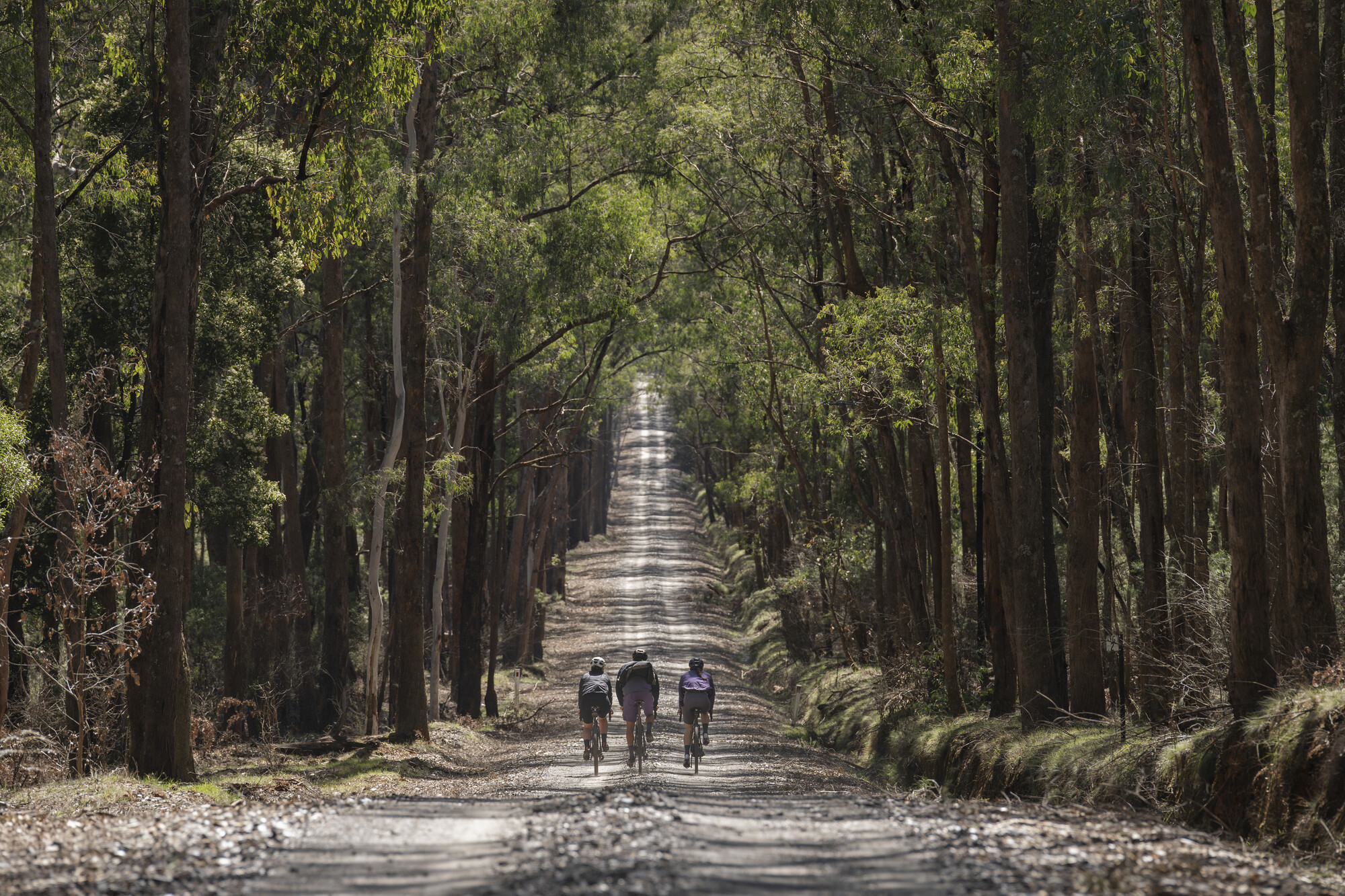 Mount Beauty and Mitta Mitta Gravel Routes - Trappers Gap