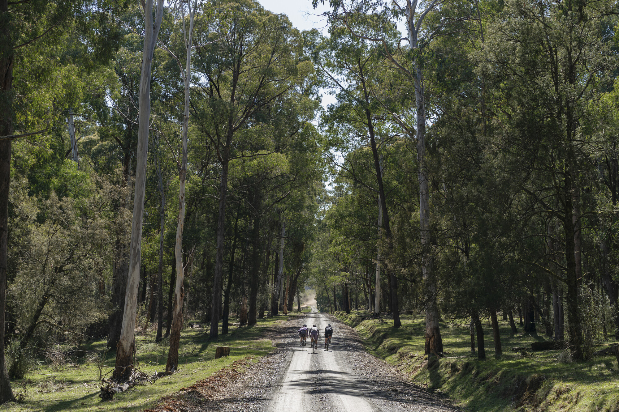 Mount Beauty and Mitta Mitta Gravel Routes - Trappers Gap