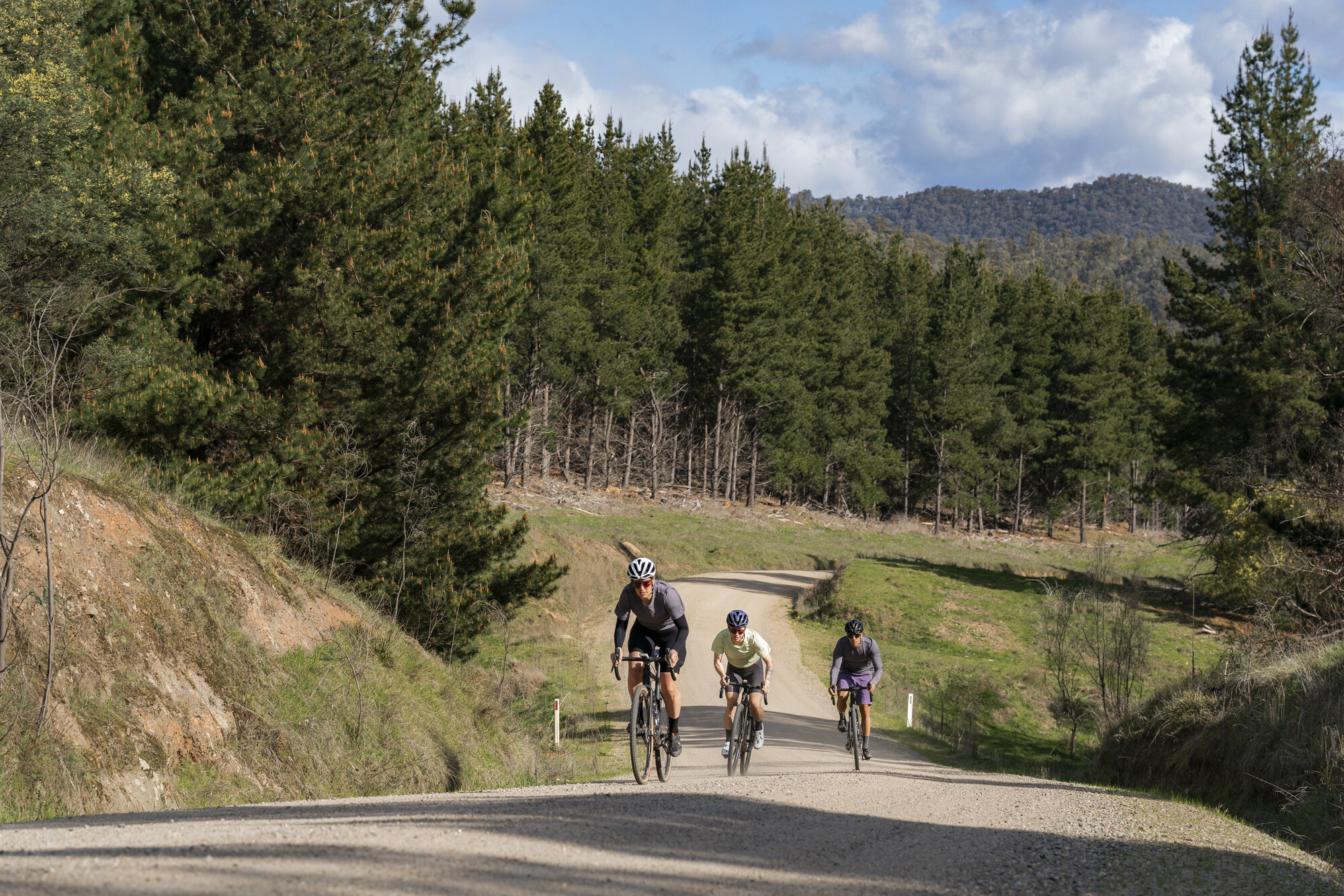 Mitta Mitta Gravel Routes - Mitta - Callaghan Creek Loop