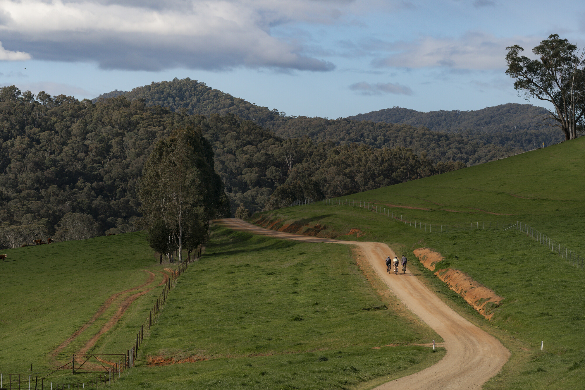 Mitta Mitta Gravel Routes - Mitta - Callaghan Creek Loop