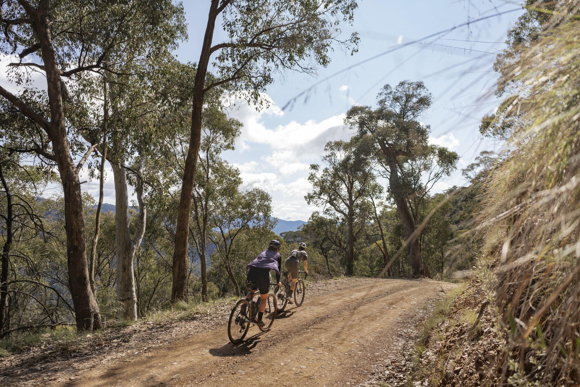 Bright Gravel Routes - Bright - Mount Beauty