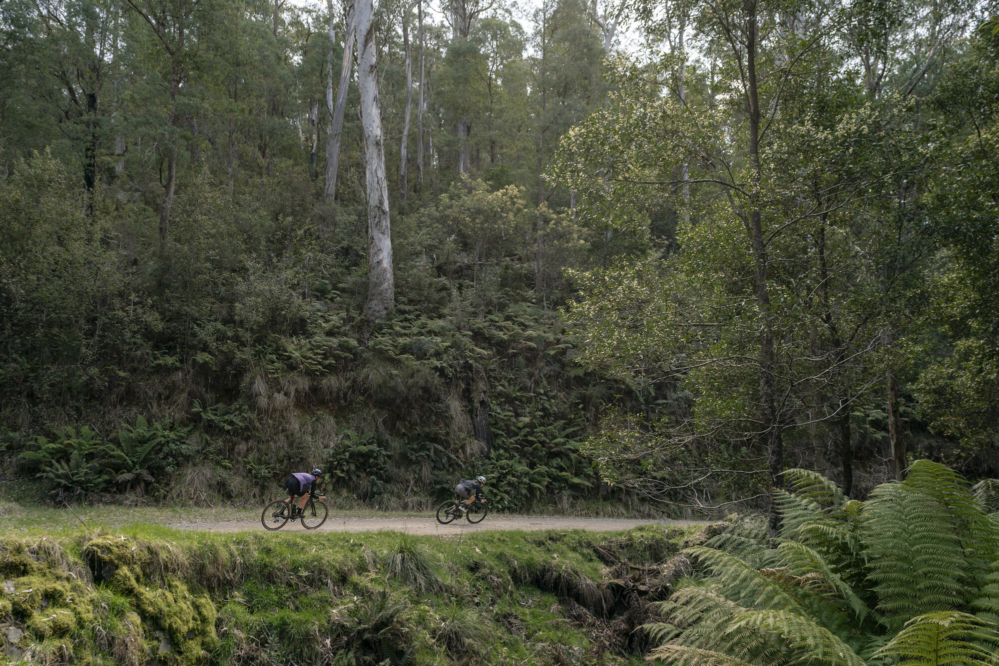 Mount Beauty Gravel Routes - Mount Beauty - Bright