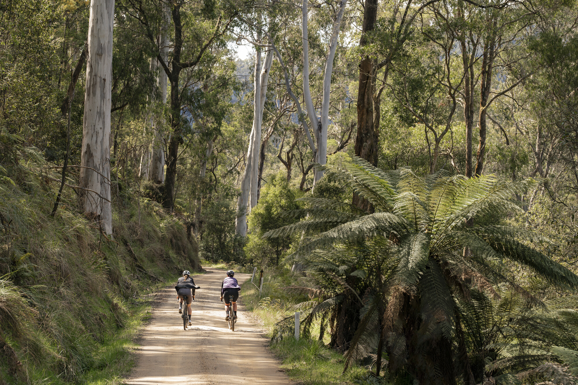 Bright Gravel Routes - Bright - Mount Beauty