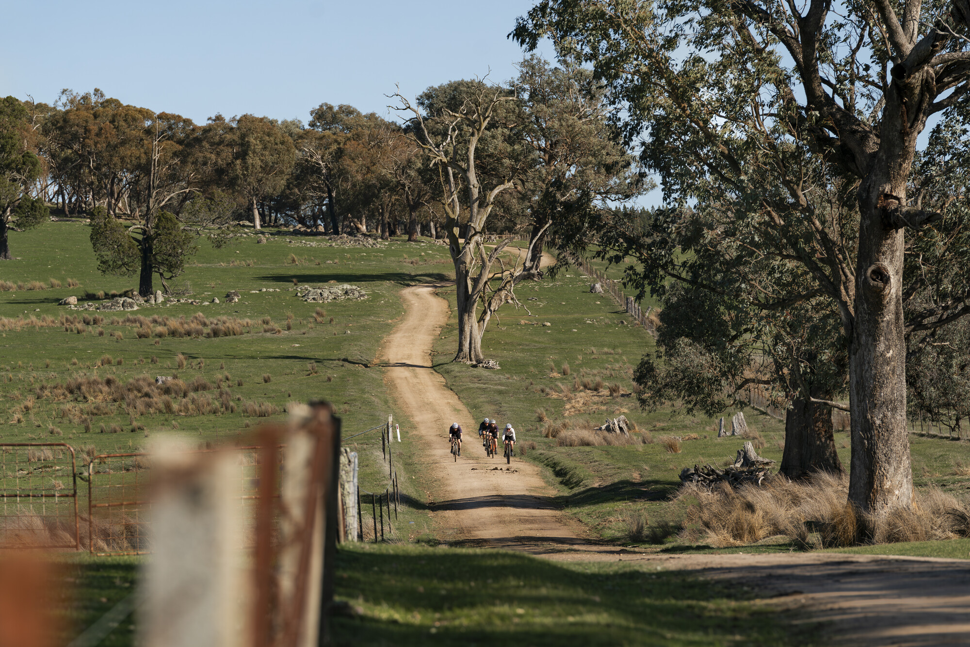 Beechworth Gravel Routes - Eldorado - Beechworth Loop