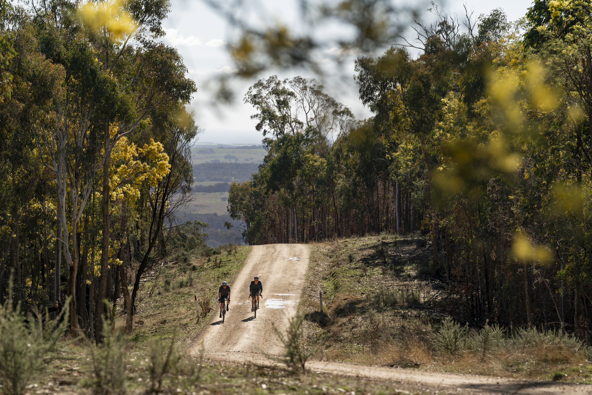 Beechworth Gravel Rides - Beechworth Gaol Break Loop