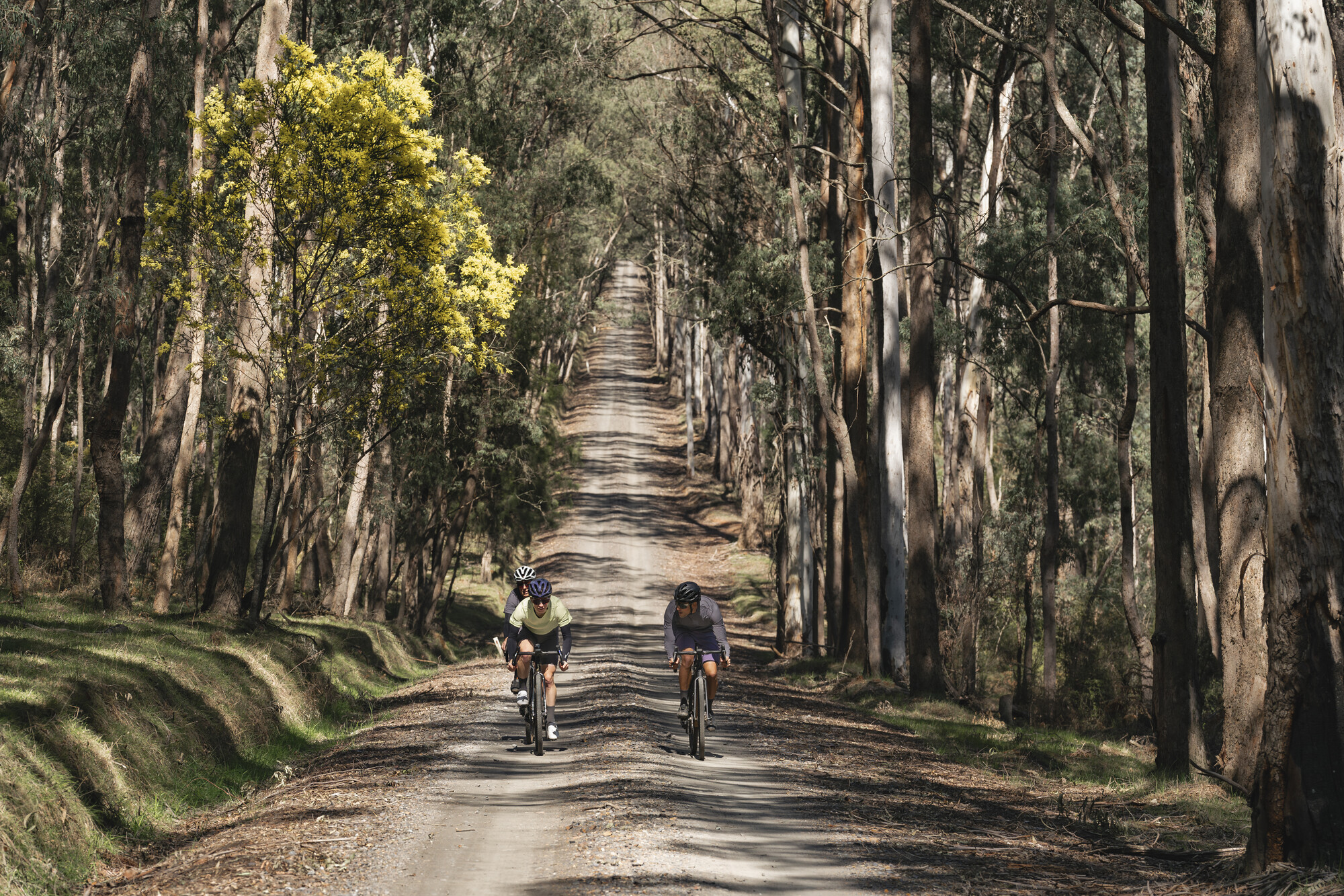 Mount Beauty and Mitta Mitta Gravel Routes - Trappers Gap