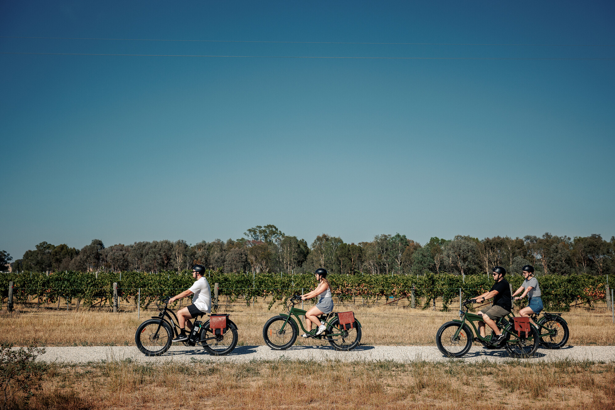 Cruise the rail trail through stunning vineyard views on The Wine Loop
