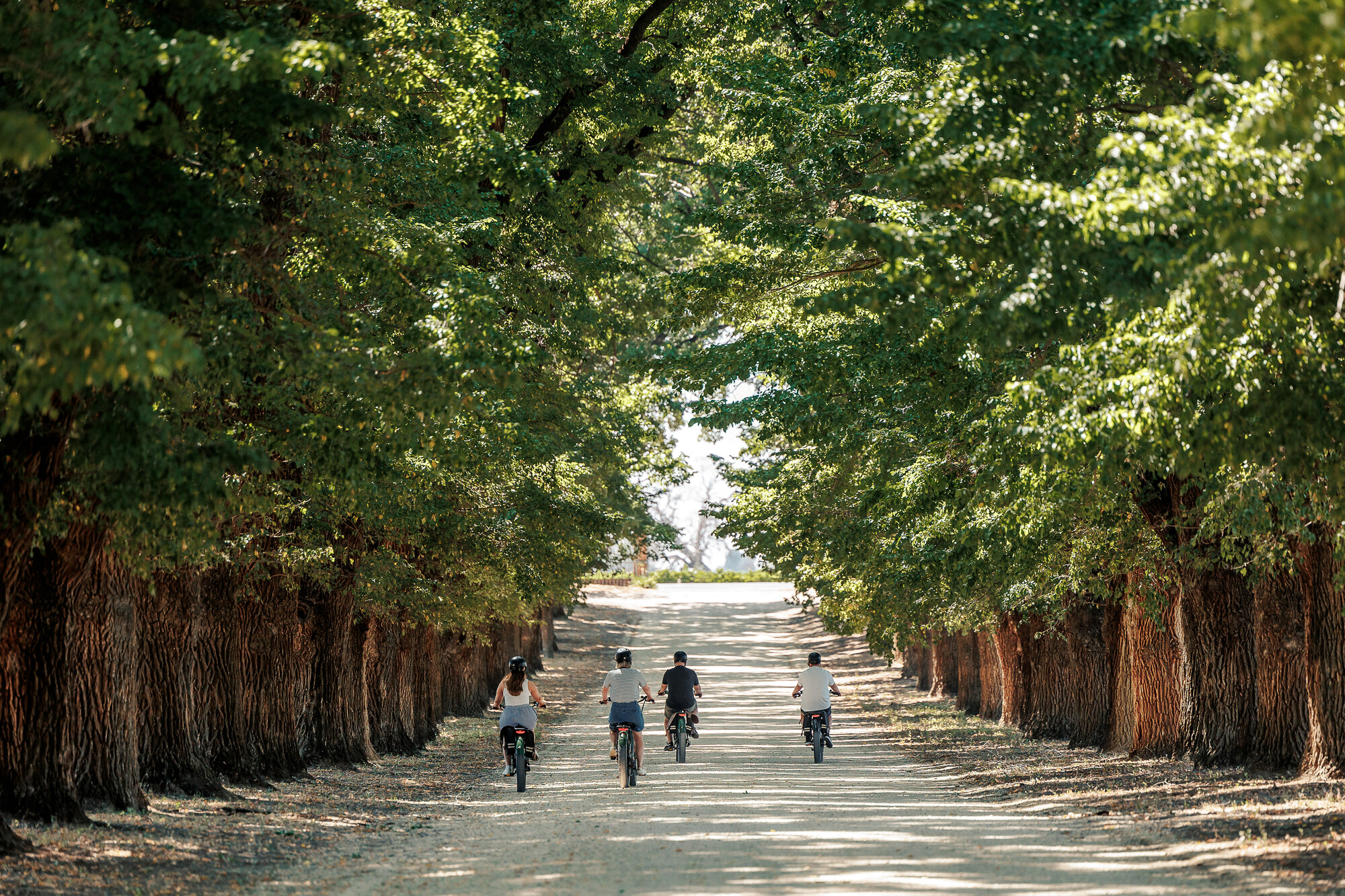 Stunning views and quiet country lanes await on The Wine Loop