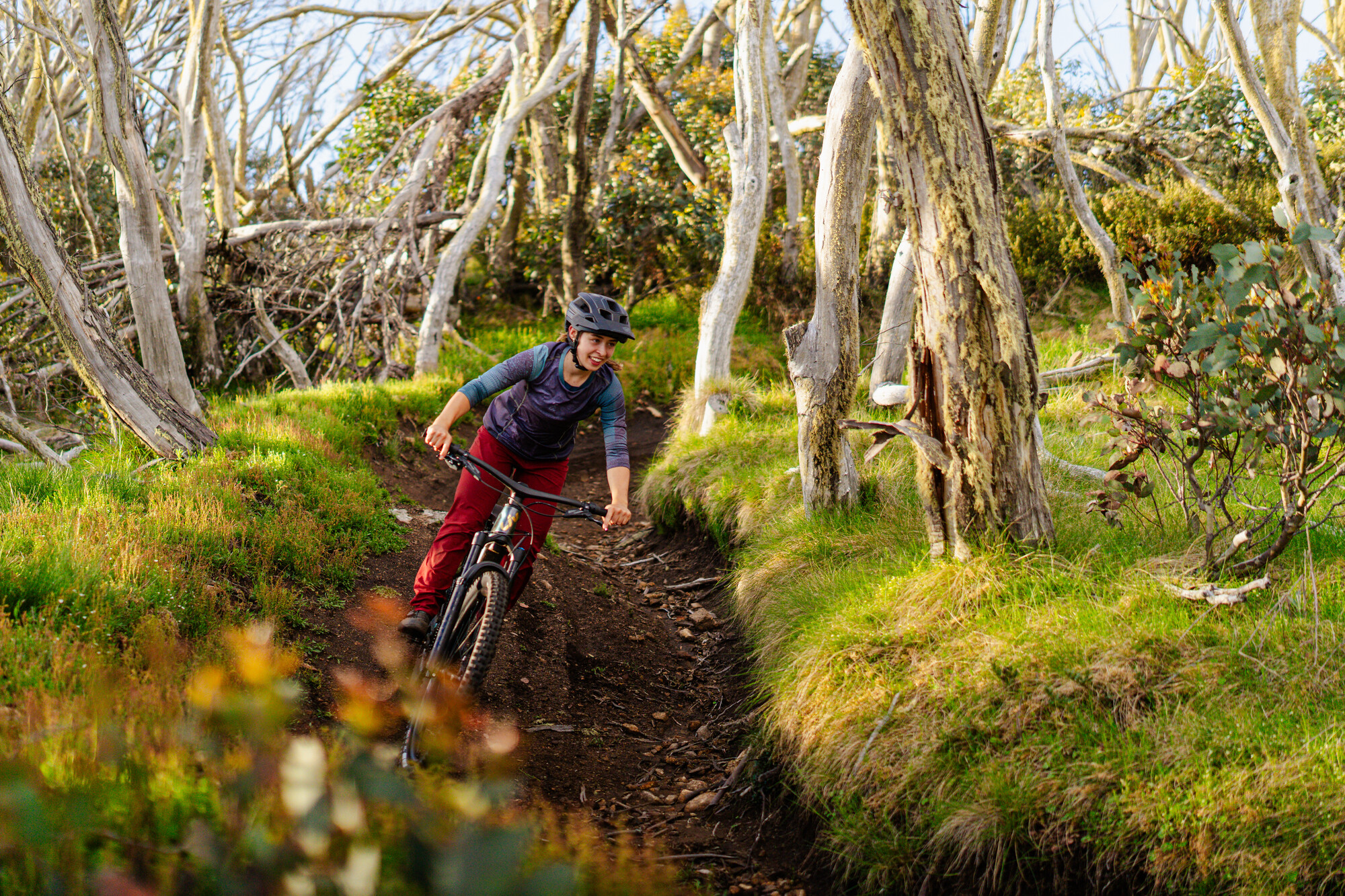 Ride Mt Buller's flowing mountain bike trails