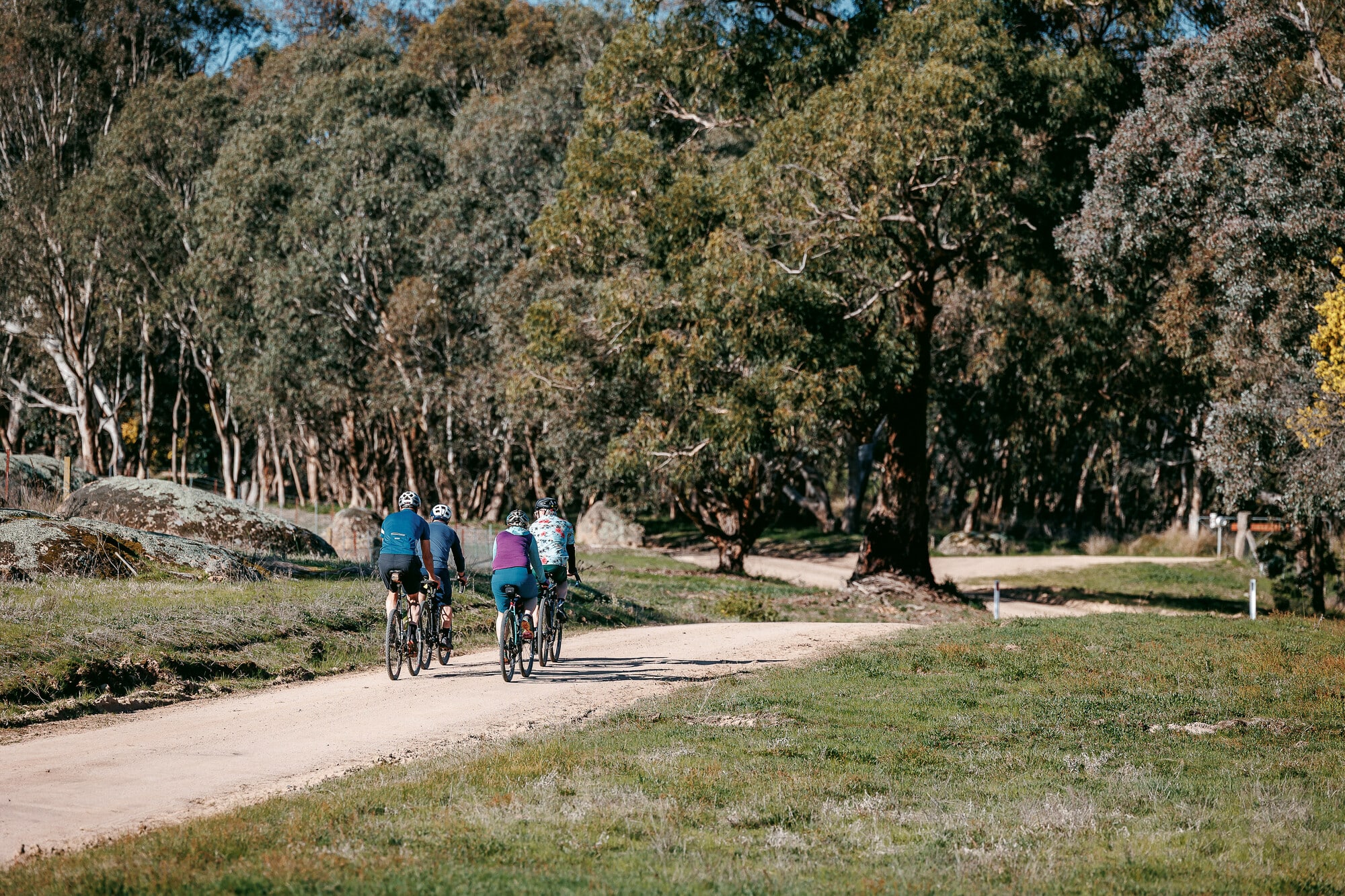 Cyclists riding on smooth gravel road through open farmland