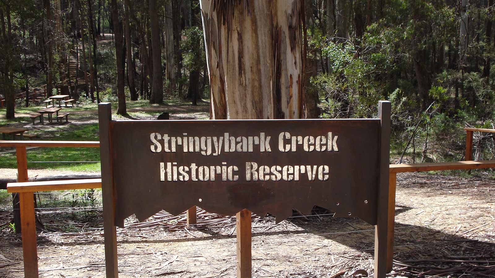 Stringybark Creek Historical Reserve Walk - Victoria's High Country
