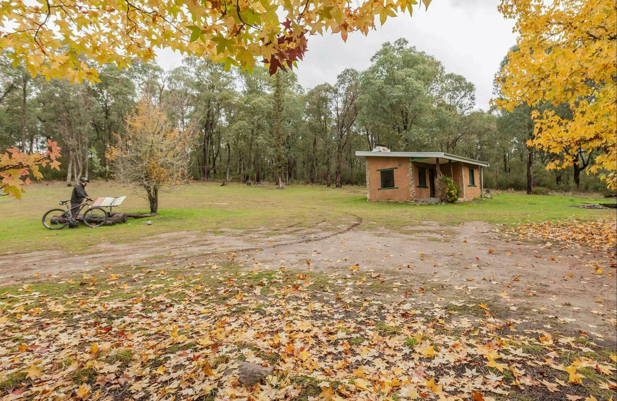 Major Clews Hut walking track, Kosciuszko National Park. Photo: Murray Vanderveer