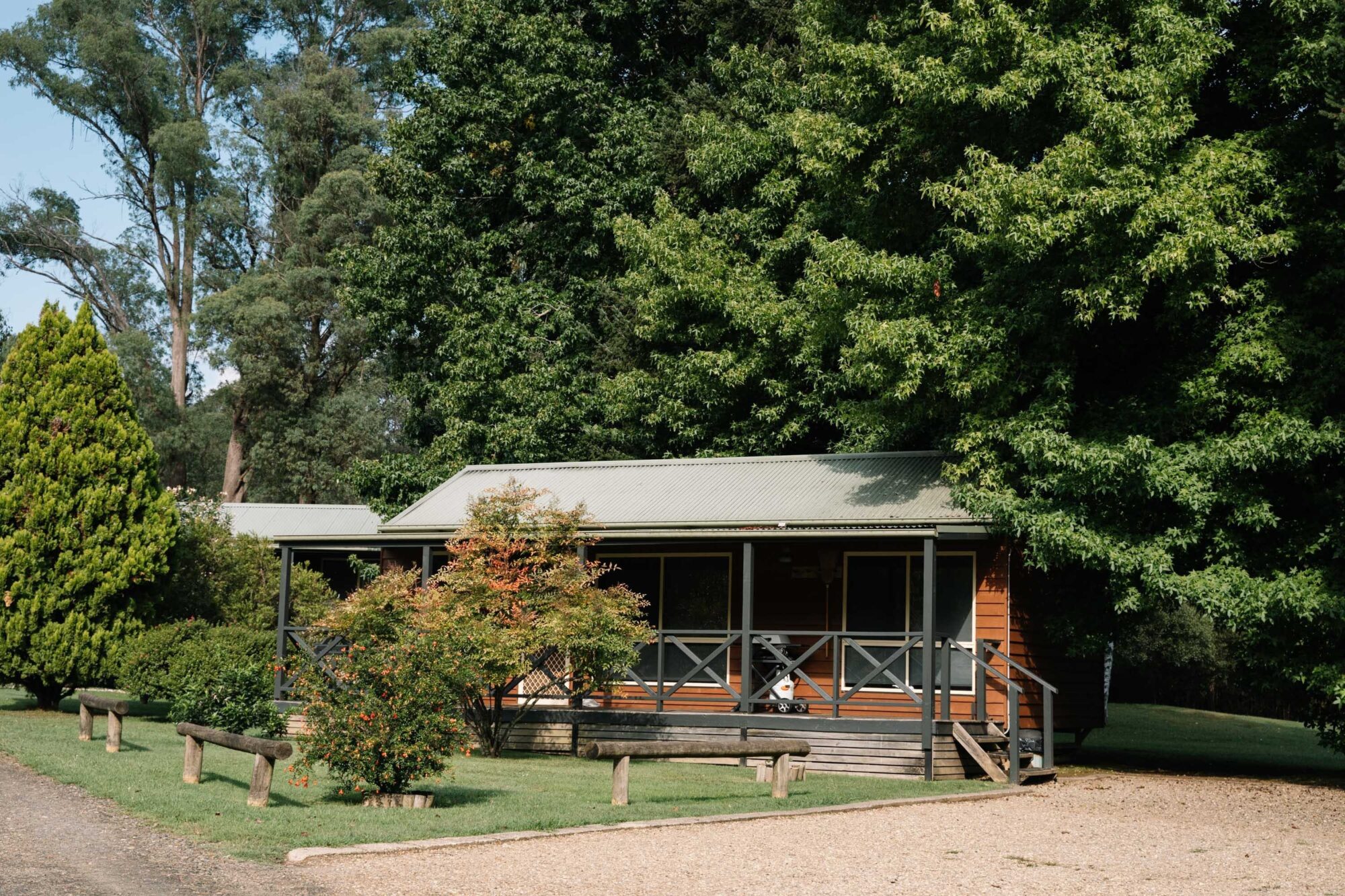 Harrietville Cabins surrounded by Gum trees