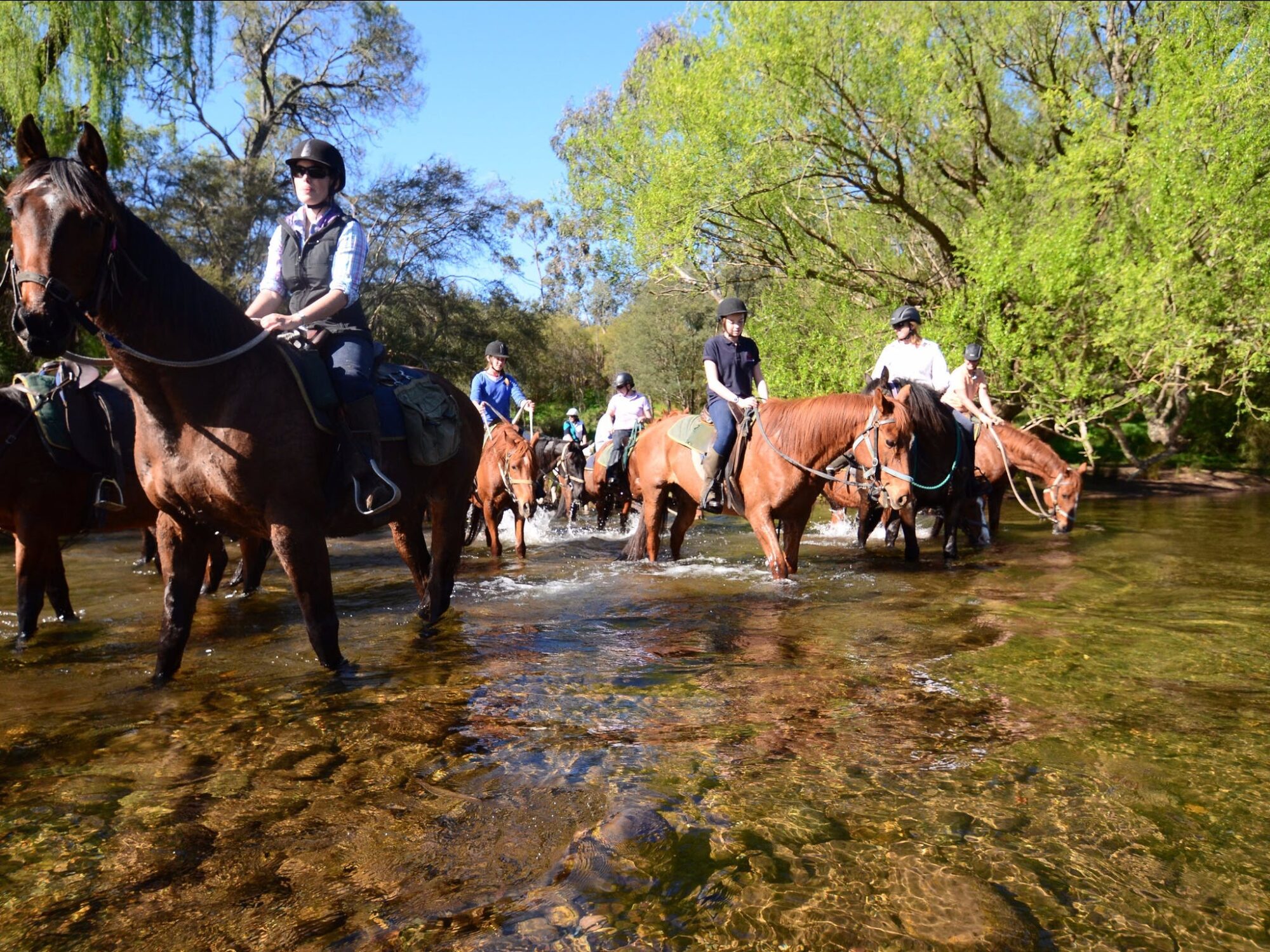 River crossing on two day horse ride